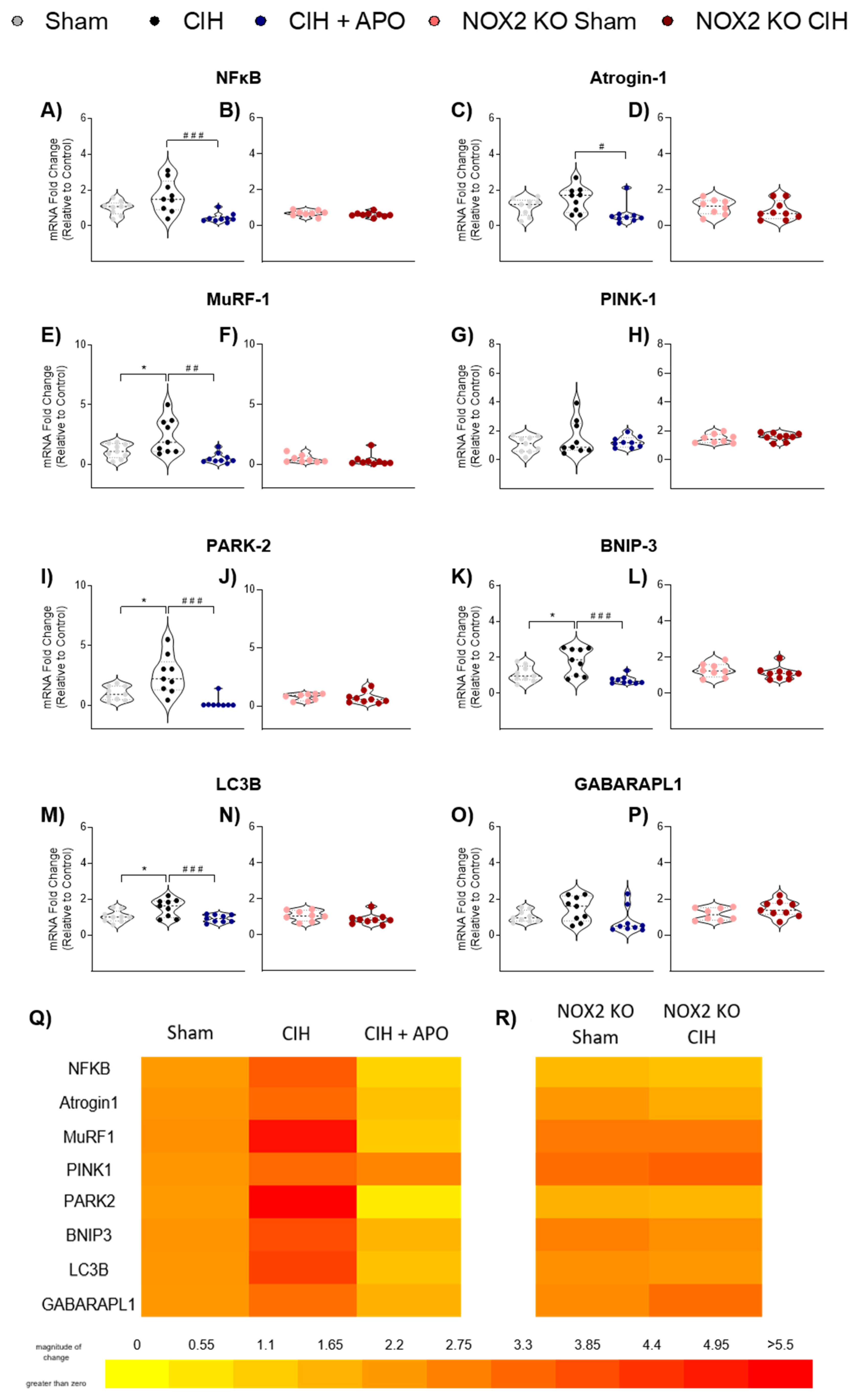 Cells 12 01834 g005 Cells 12 01834 g005