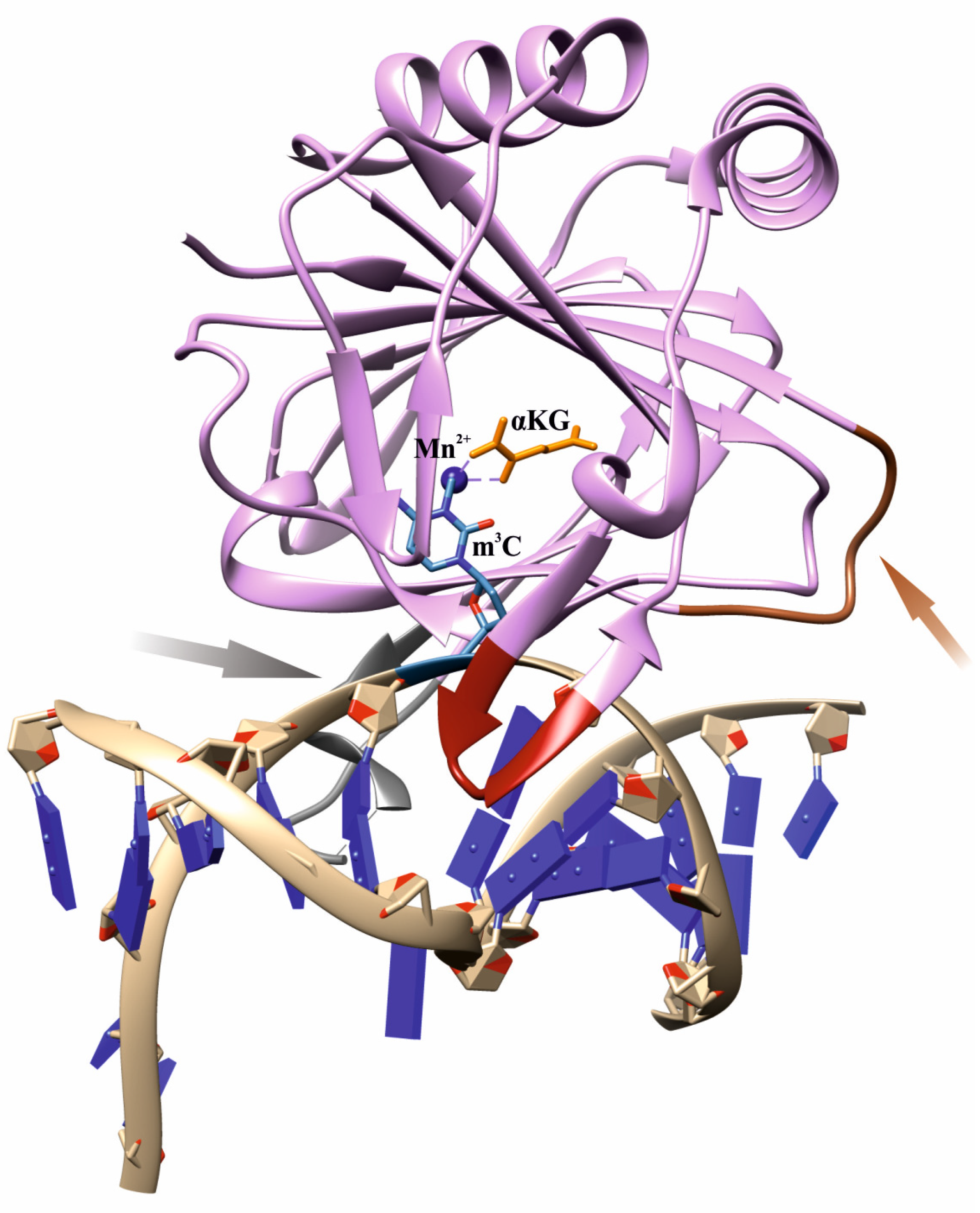 Cells 12 01839 g001 Cells 12 01839 g001