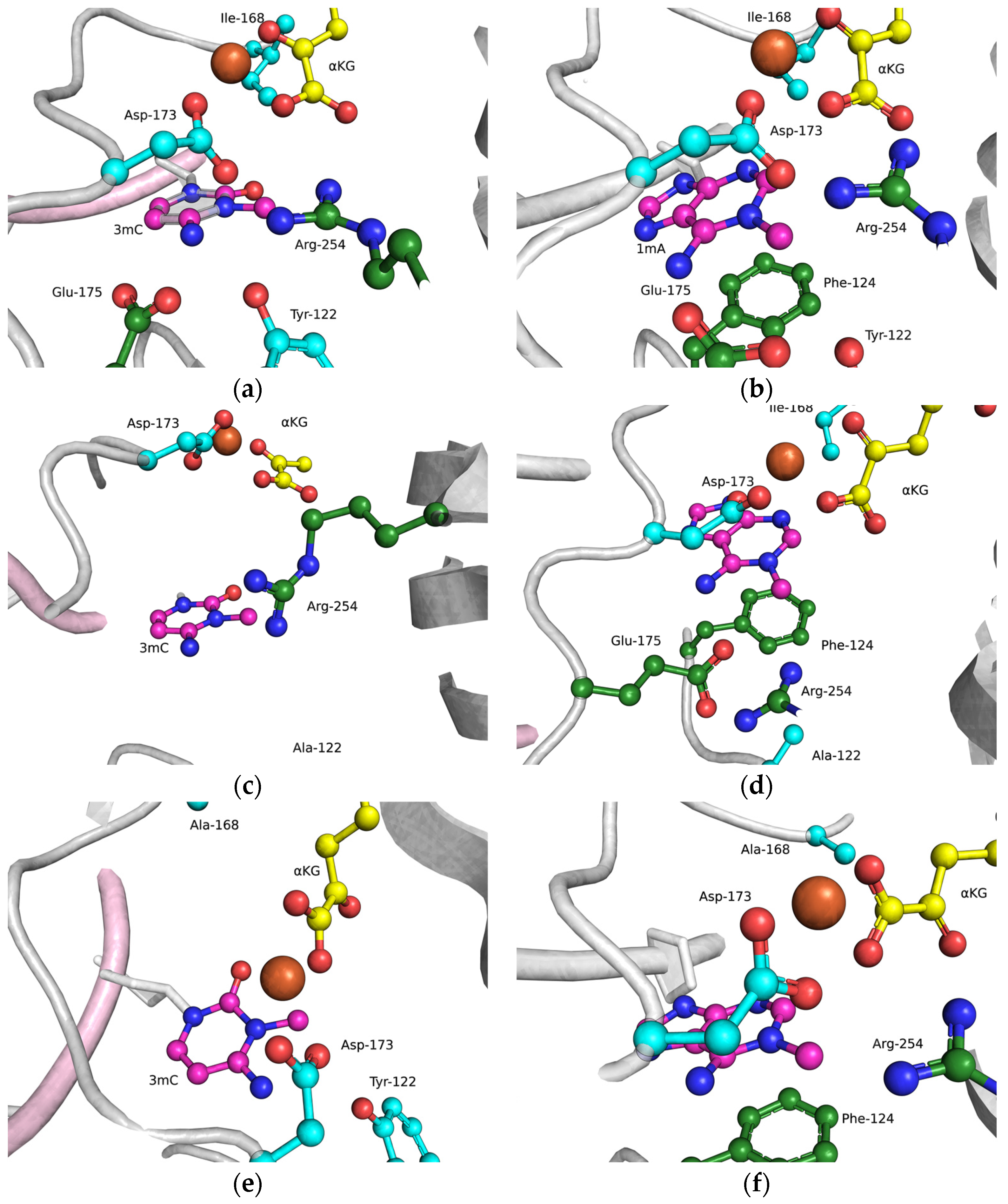 Cells 12 01839 g004a Cells 12 01839 g004a