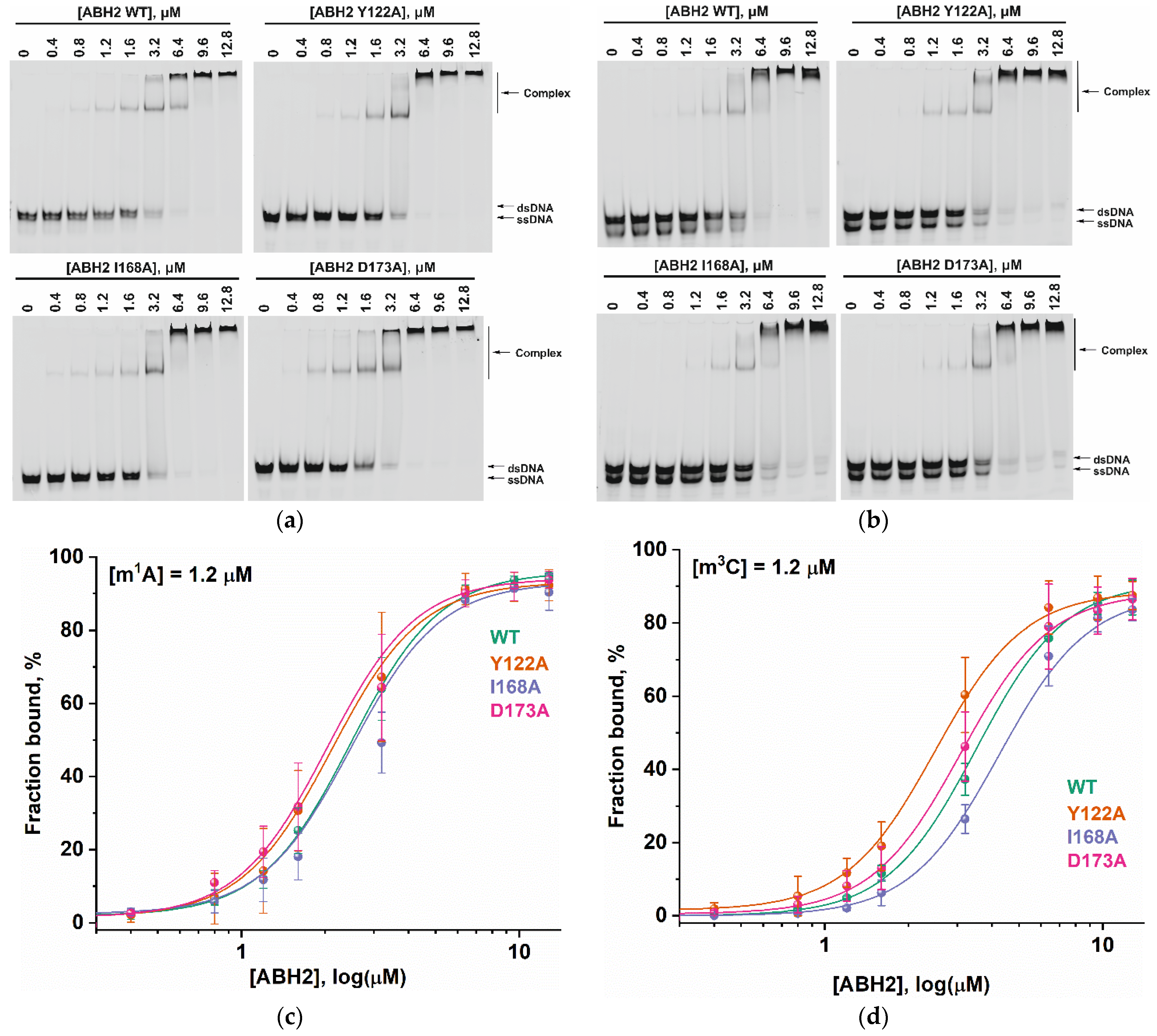 Cells 12 01839 g007 Cells 12 01839 g007