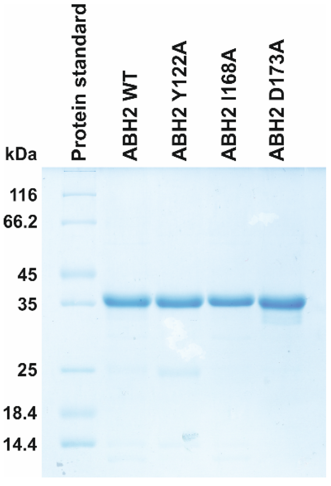 Cells 12 01839 g012 Cells 12 01839 g012