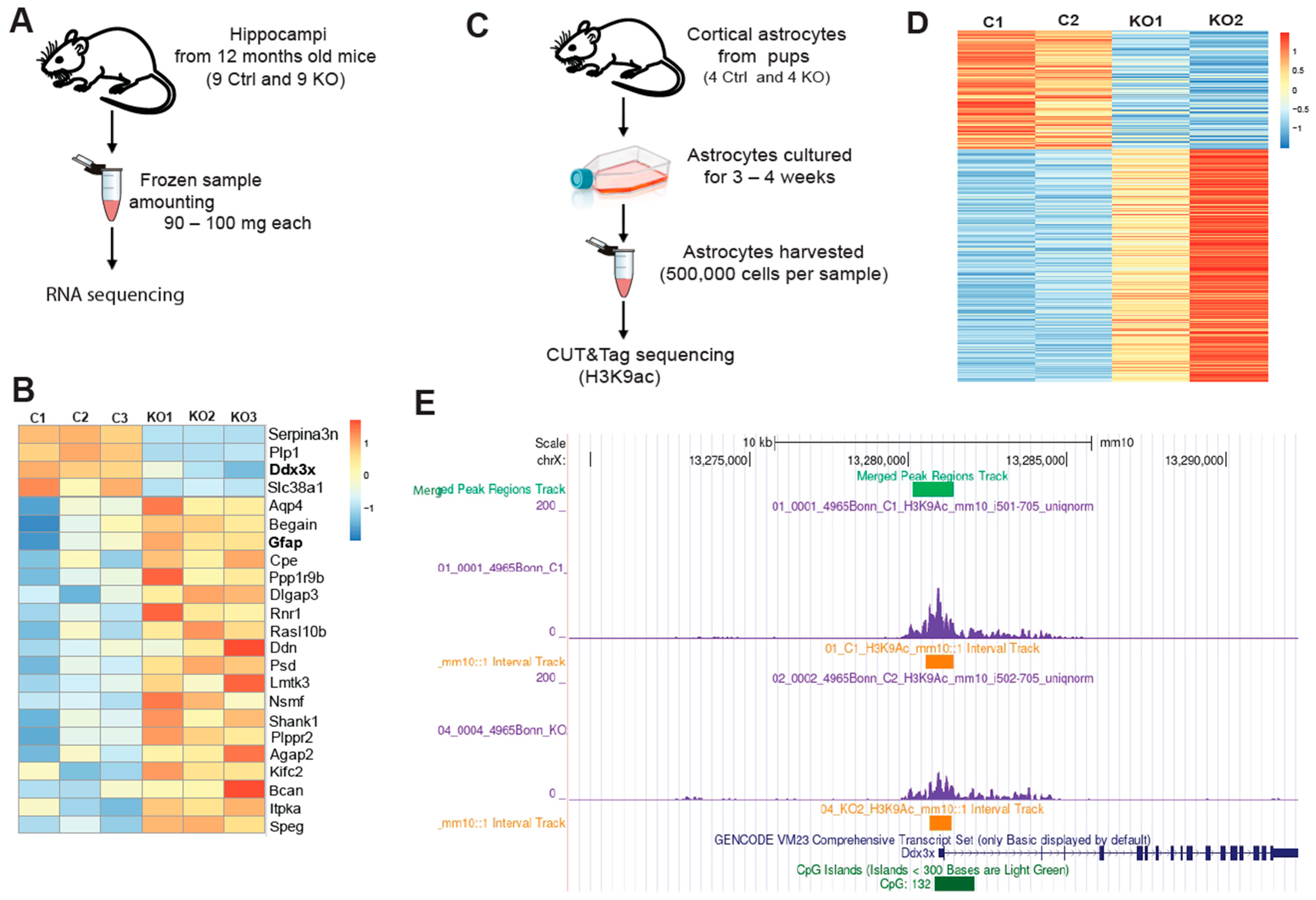Cells 12 01844 g003 Cells 12 01844 g003