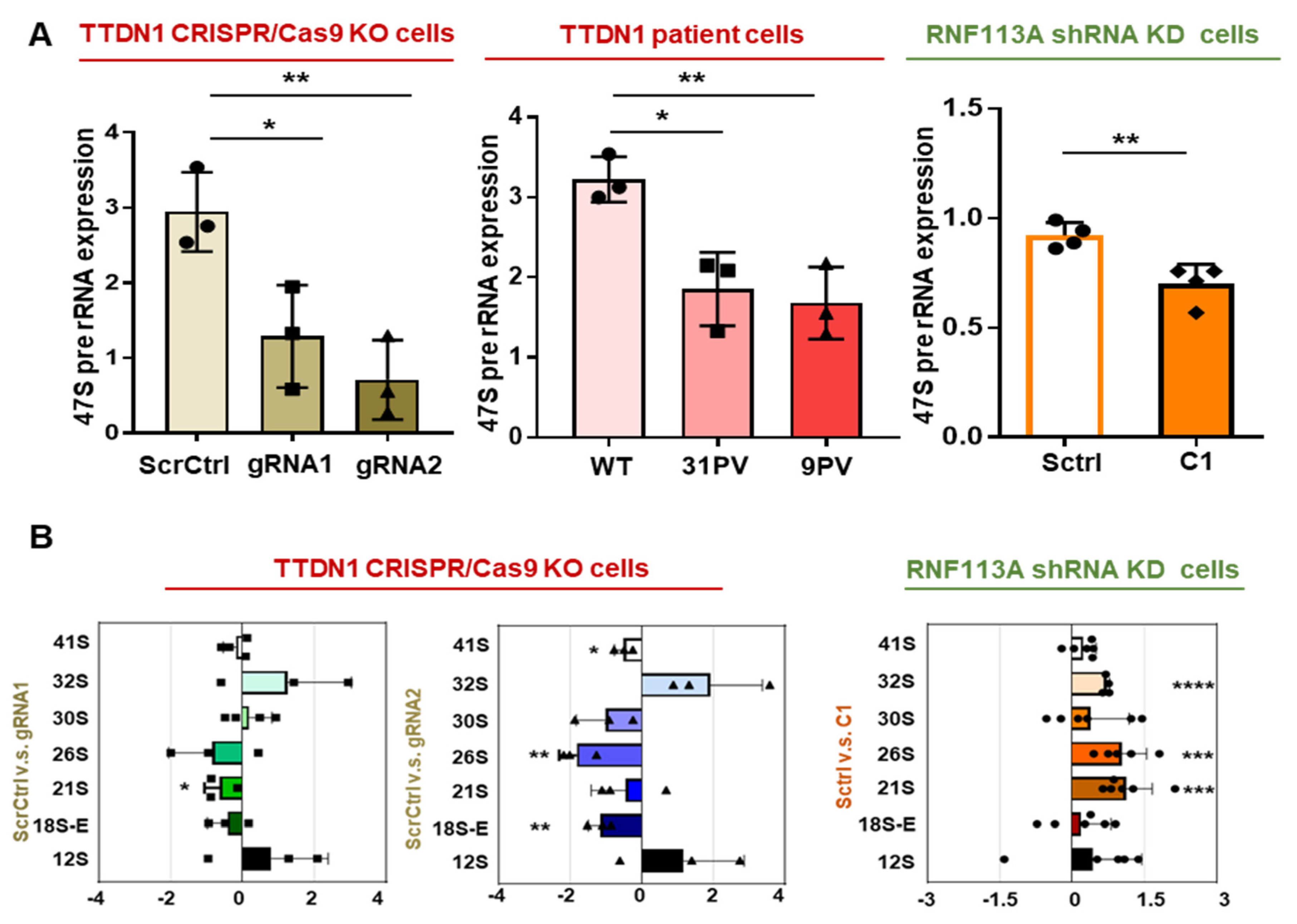 Cells 12 01877 g003a Cells 12 01877 g003a
