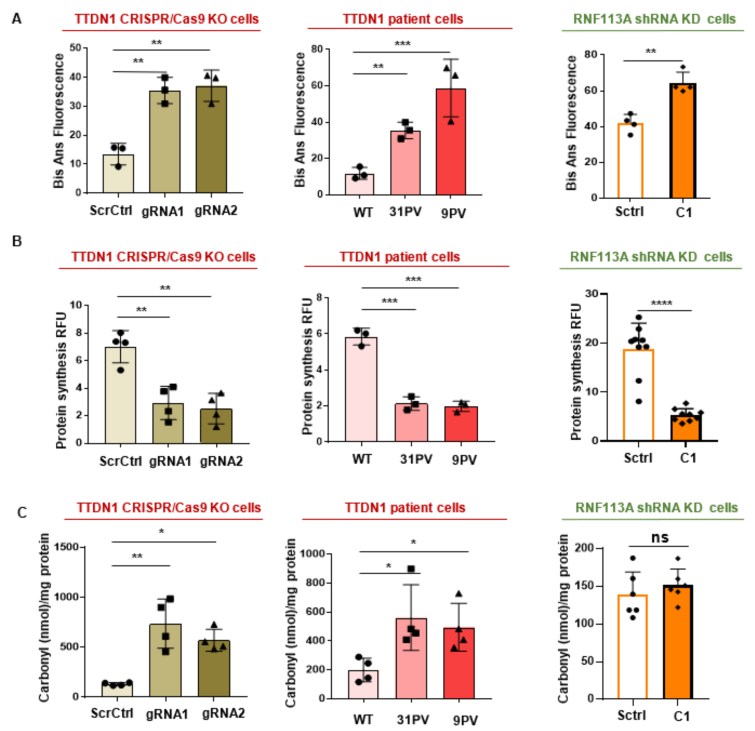 Cells 12 01877 g005 Cells 12 01877 g005