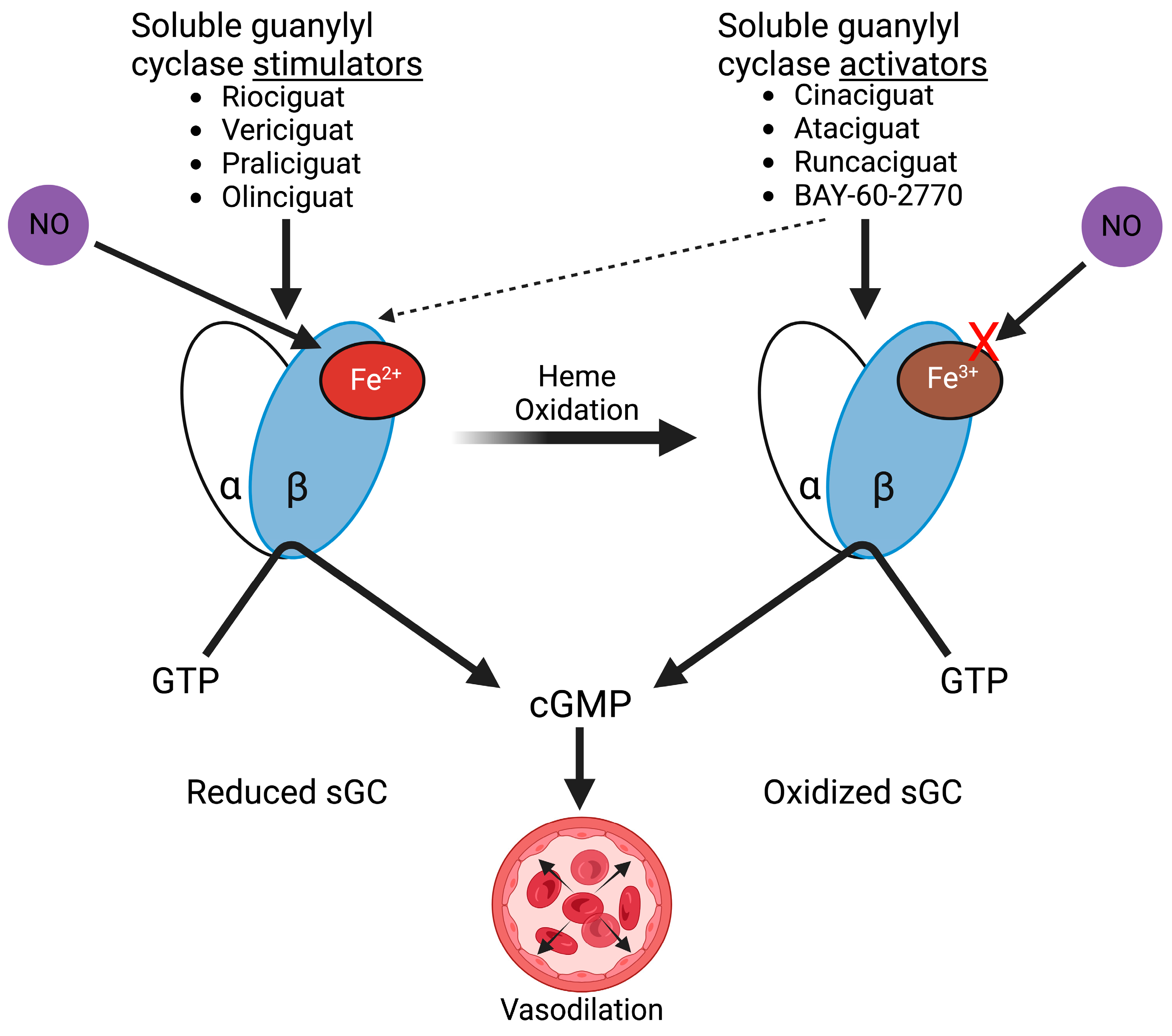 Cells 12 01903 g002 Cells 12 01903 g002