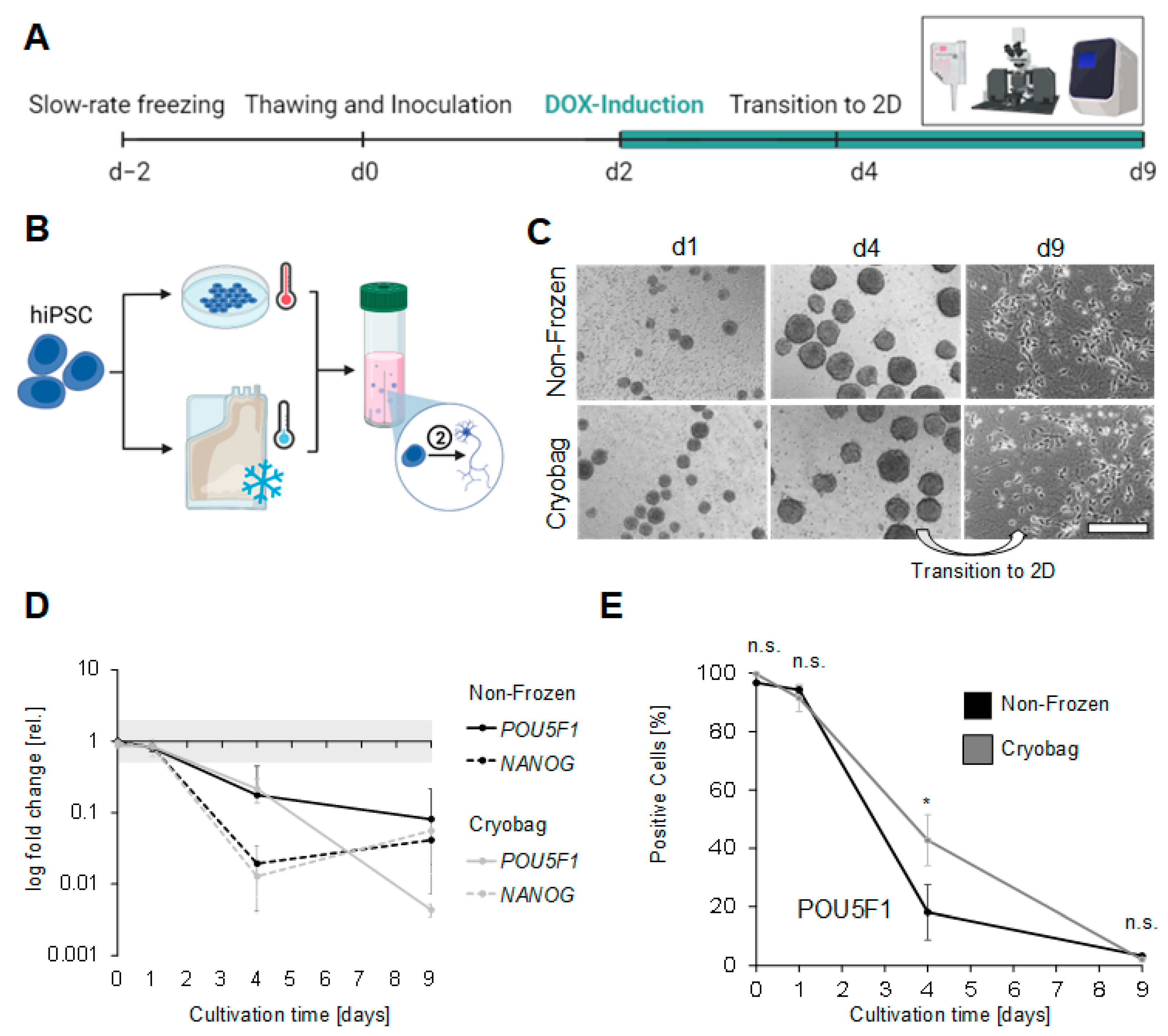 Cells 12 01914 g005