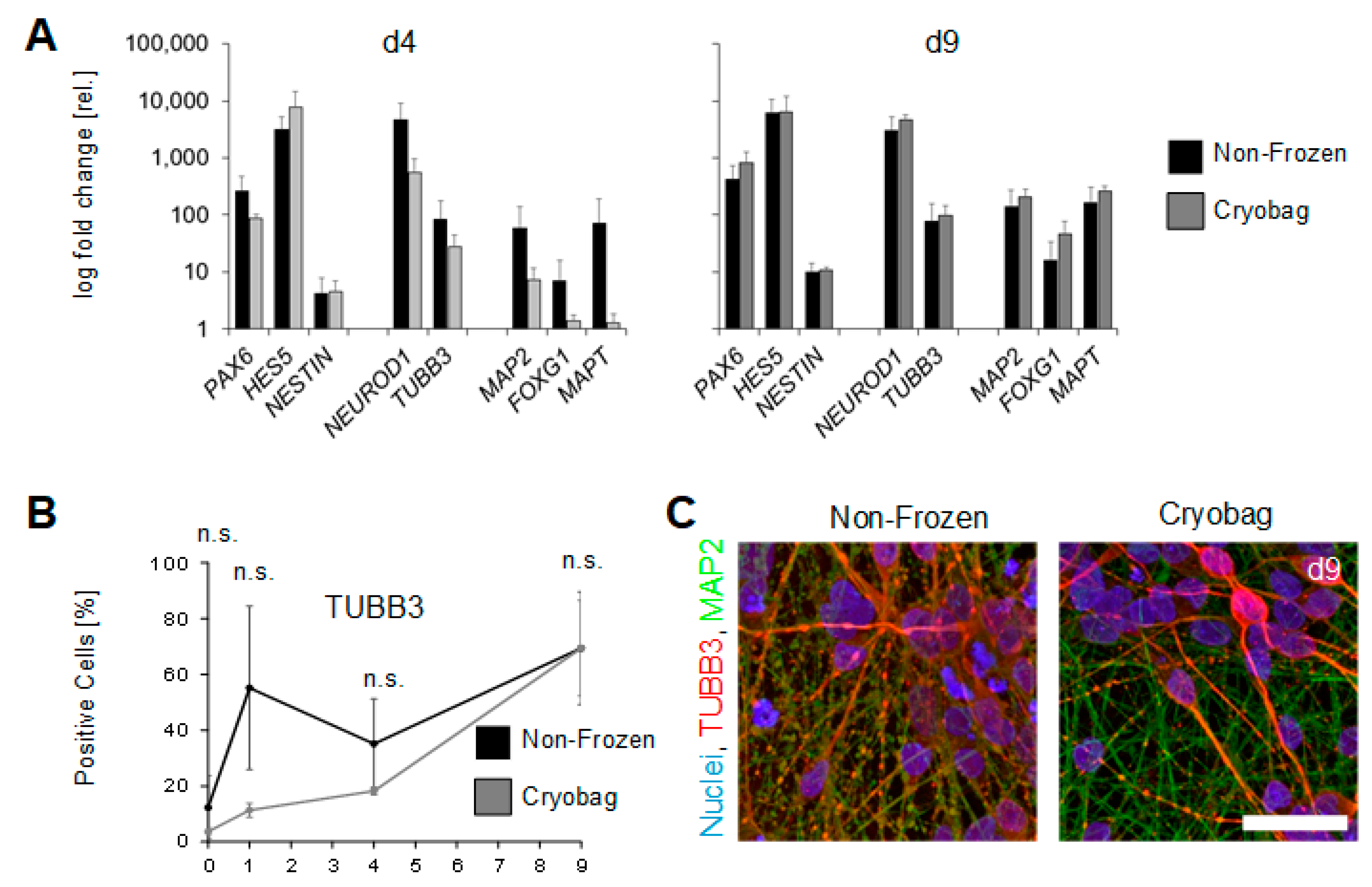 Cells 12 01914 g006