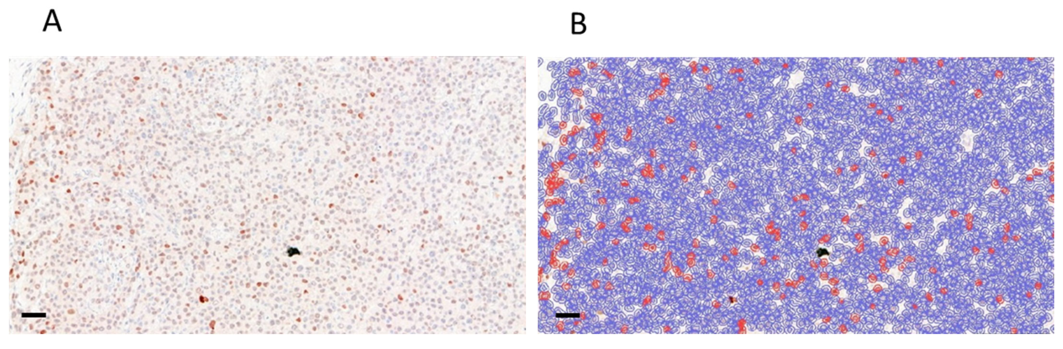 Cells 12 01919 g008a