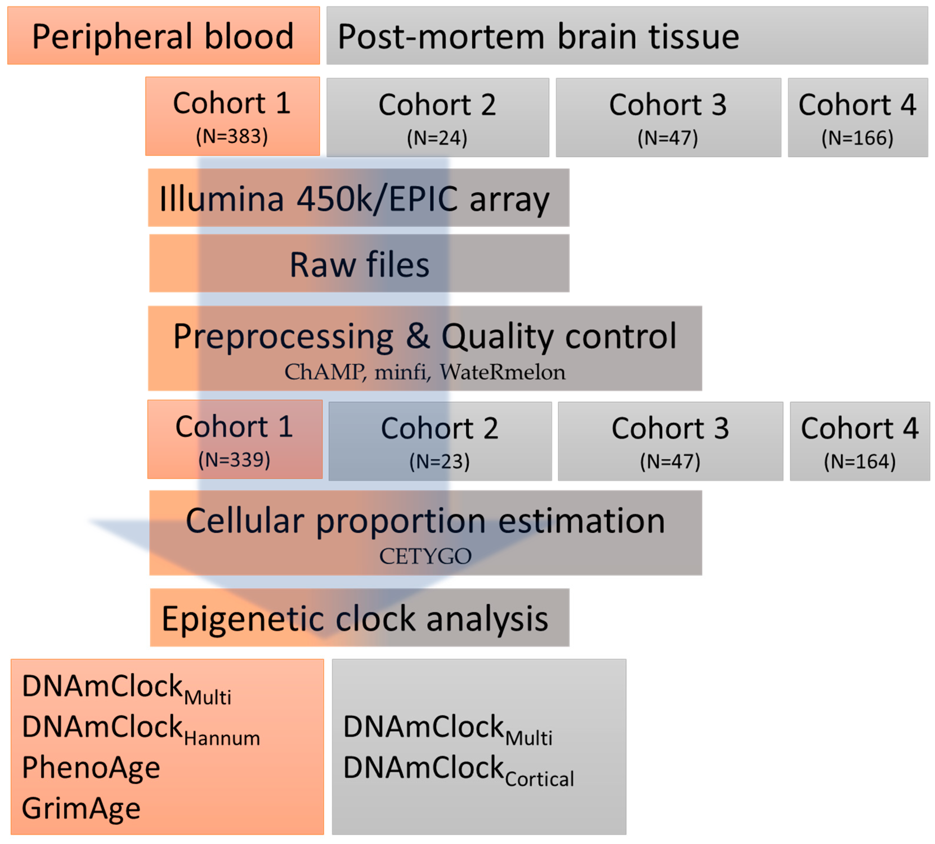 Cells 12 01922 g001 Cells 12 01922 g001