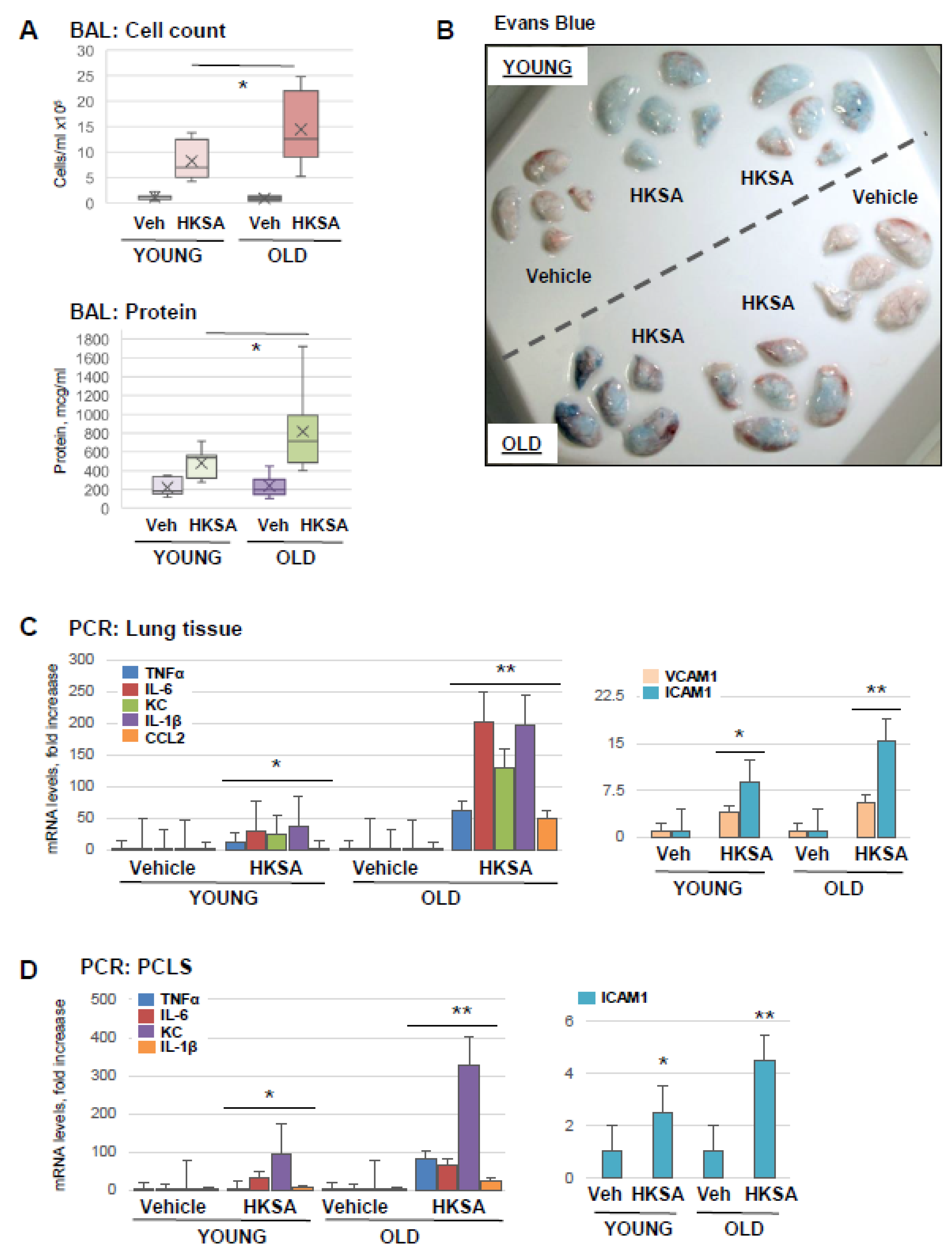 Cells 12 01937 g001 Cells 12 01937 g001
