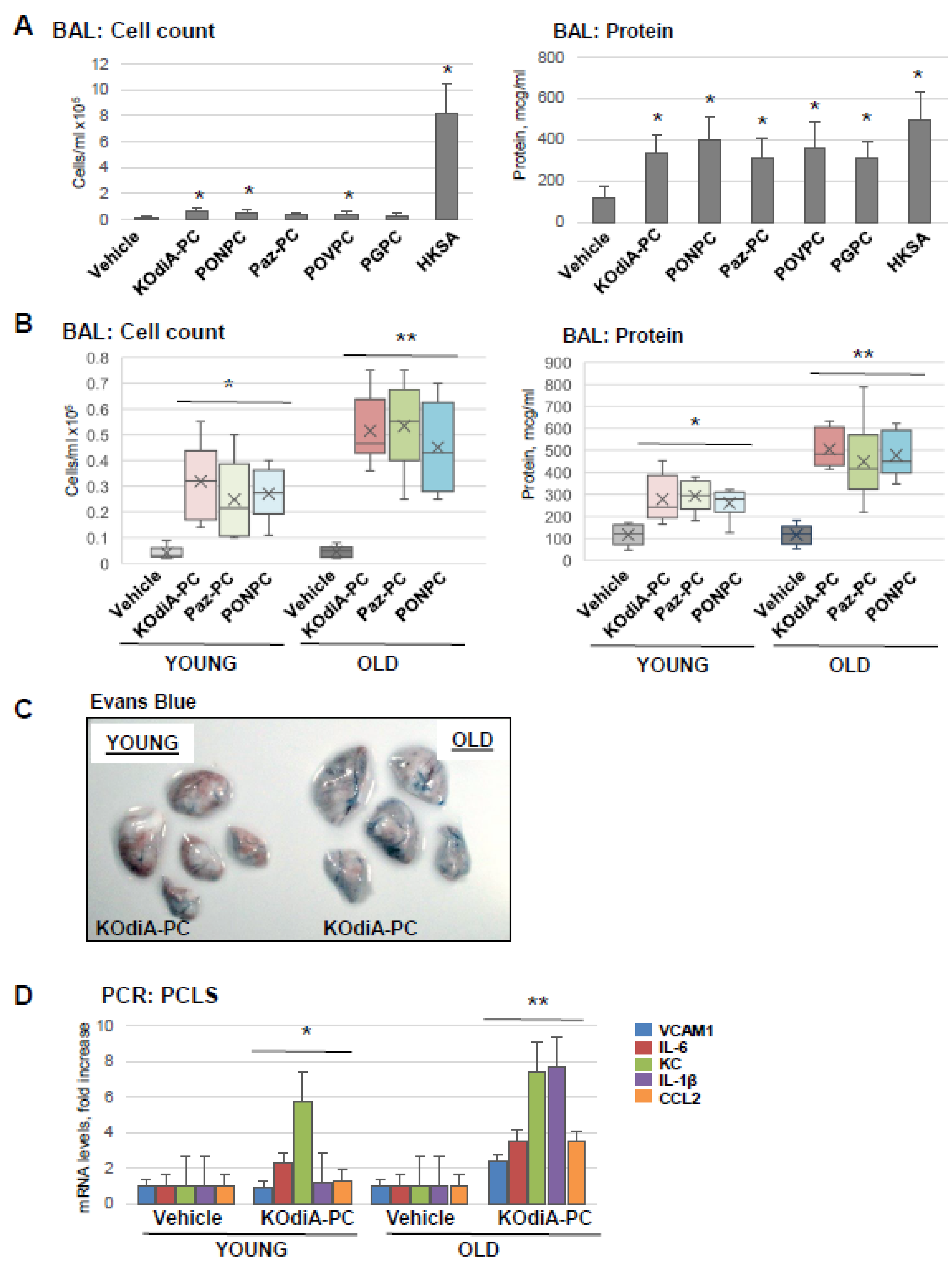 Cells 12 01937 g002 Cells 12 01937 g002