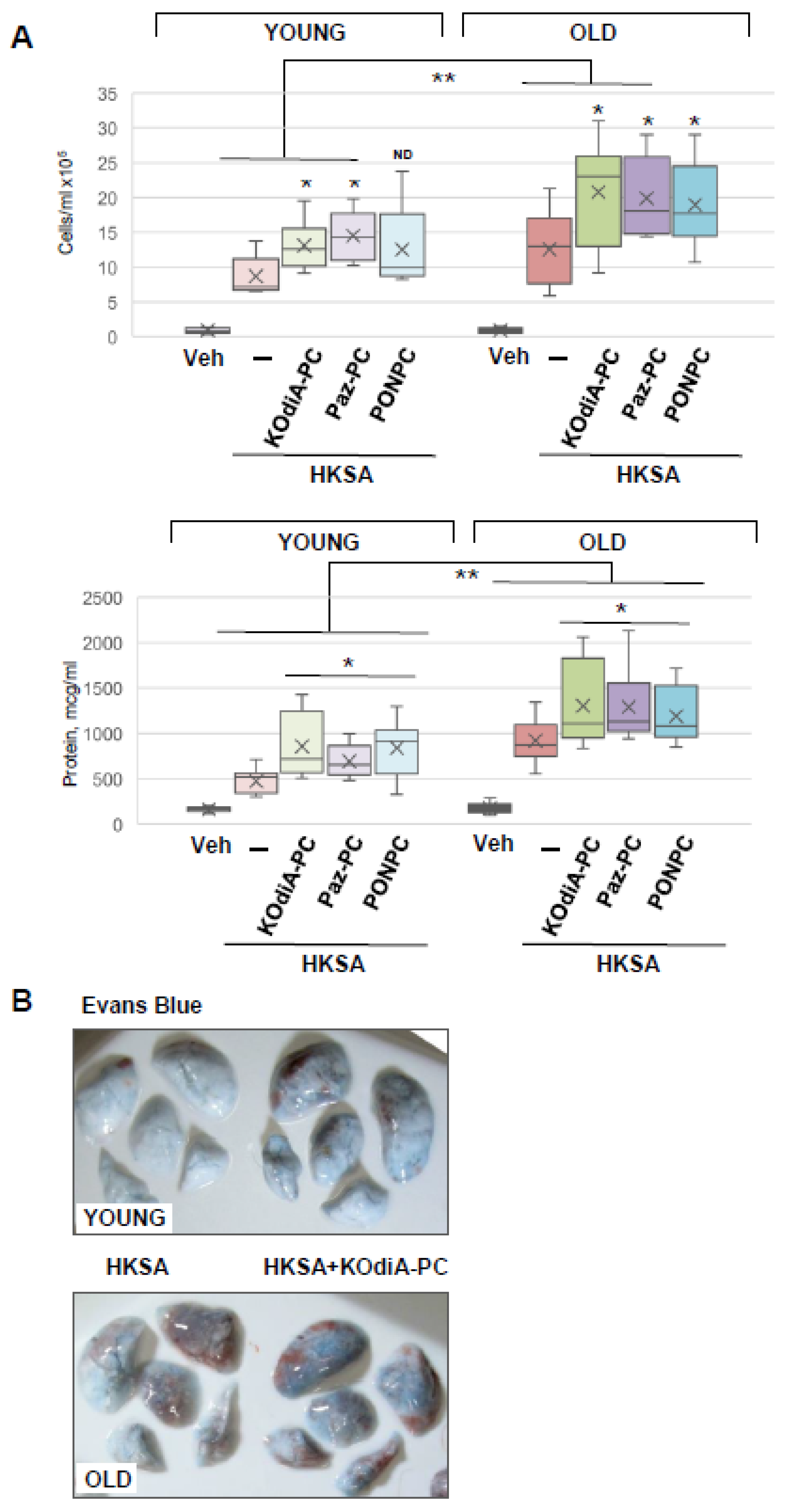Cells 12 01937 g003 Cells 12 01937 g003