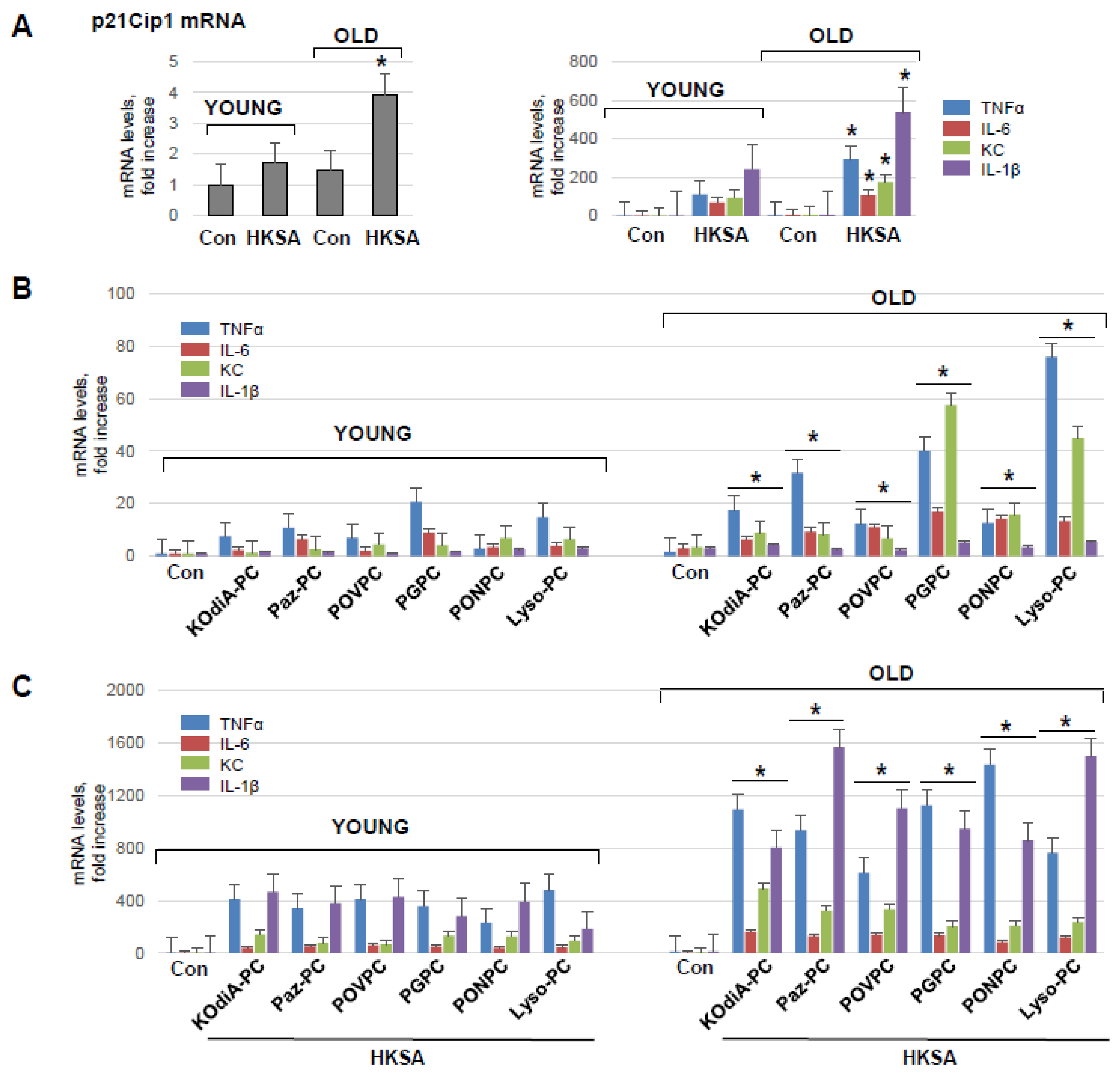 Cells 12 01937 g004 Cells 12 01937 g004