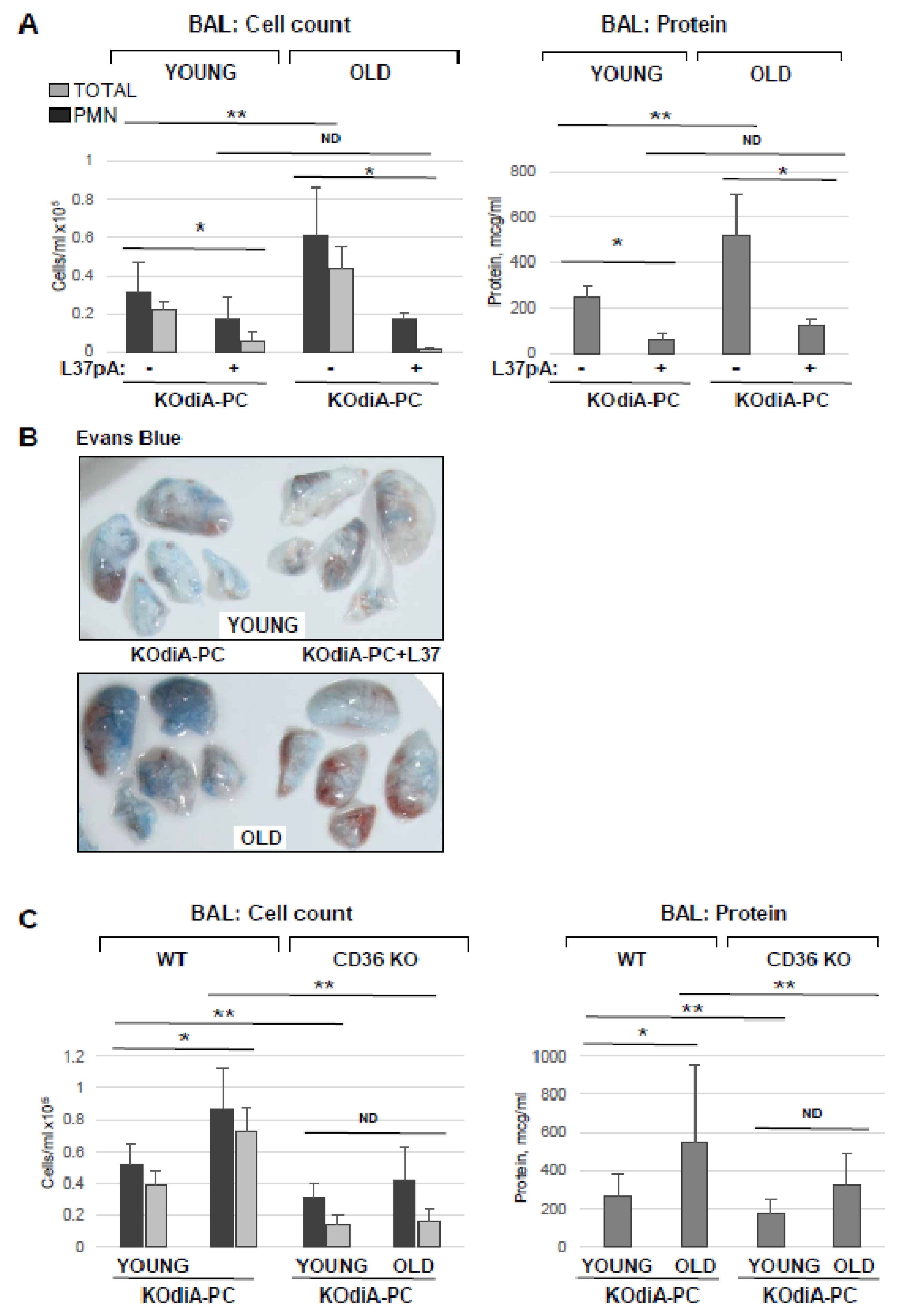 Cells 12 01937 g008 Cells 12 01937 g008