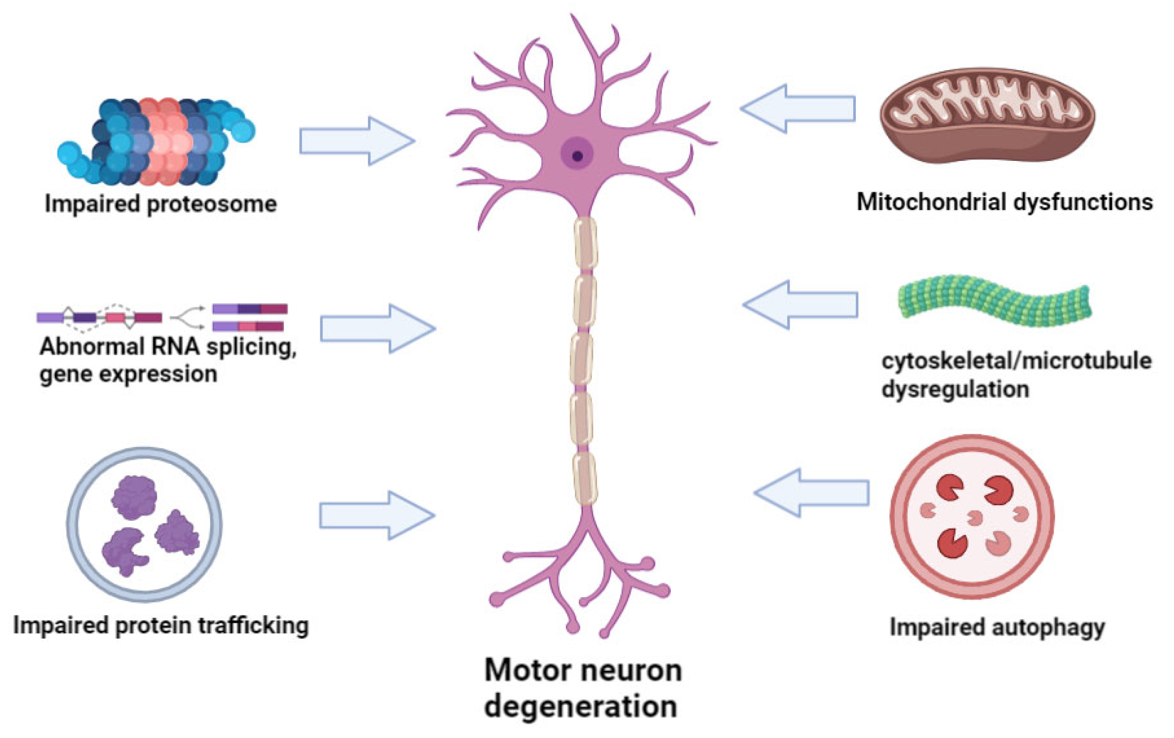 Cells 12 01948 g001 Cells 12 01948 g001