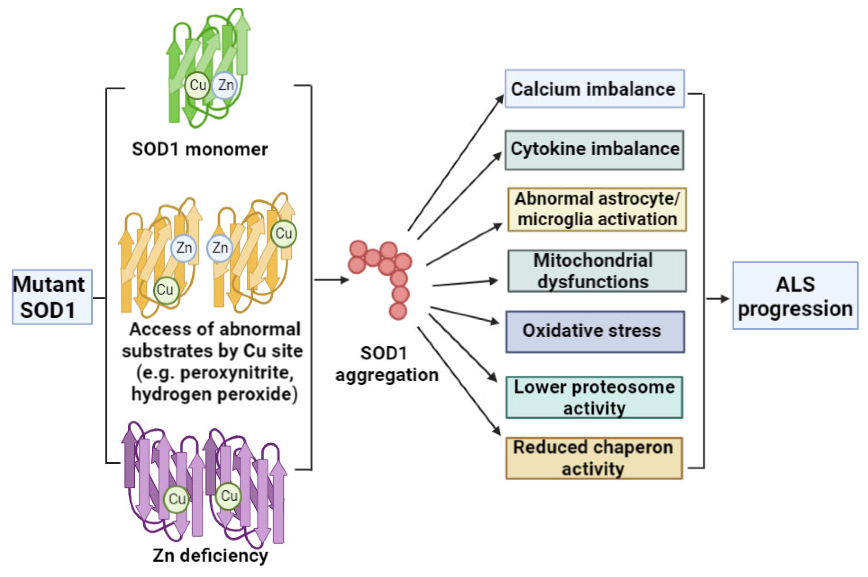 Cells 12 01948 g002 Cells 12 01948 g002
