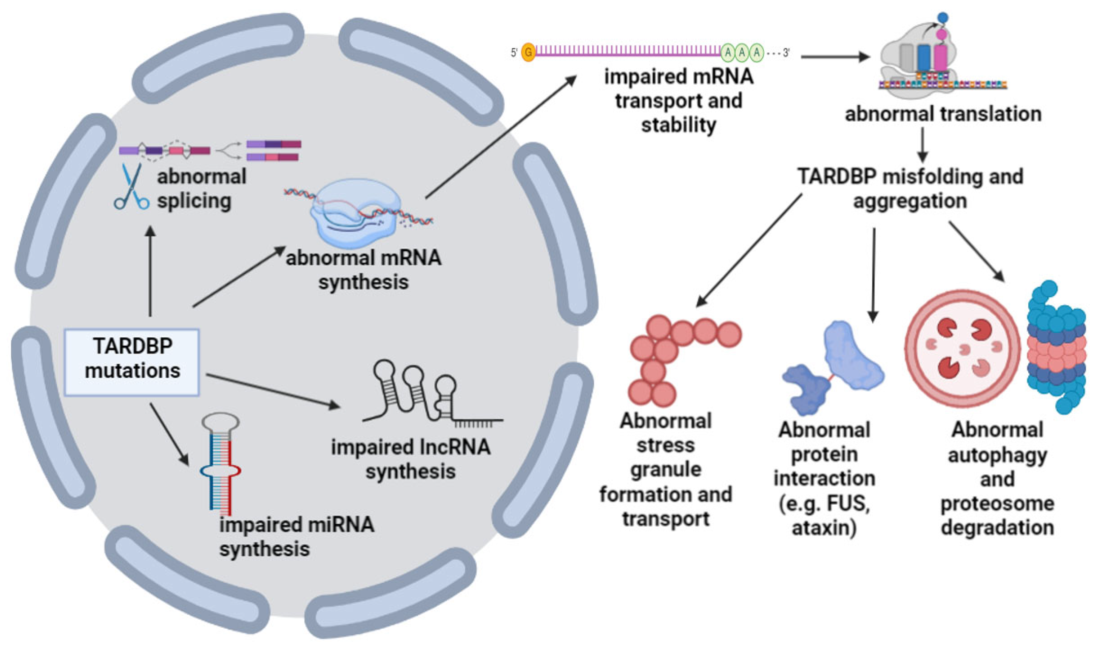 Cells 12 01948 g003 Cells 12 01948 g003