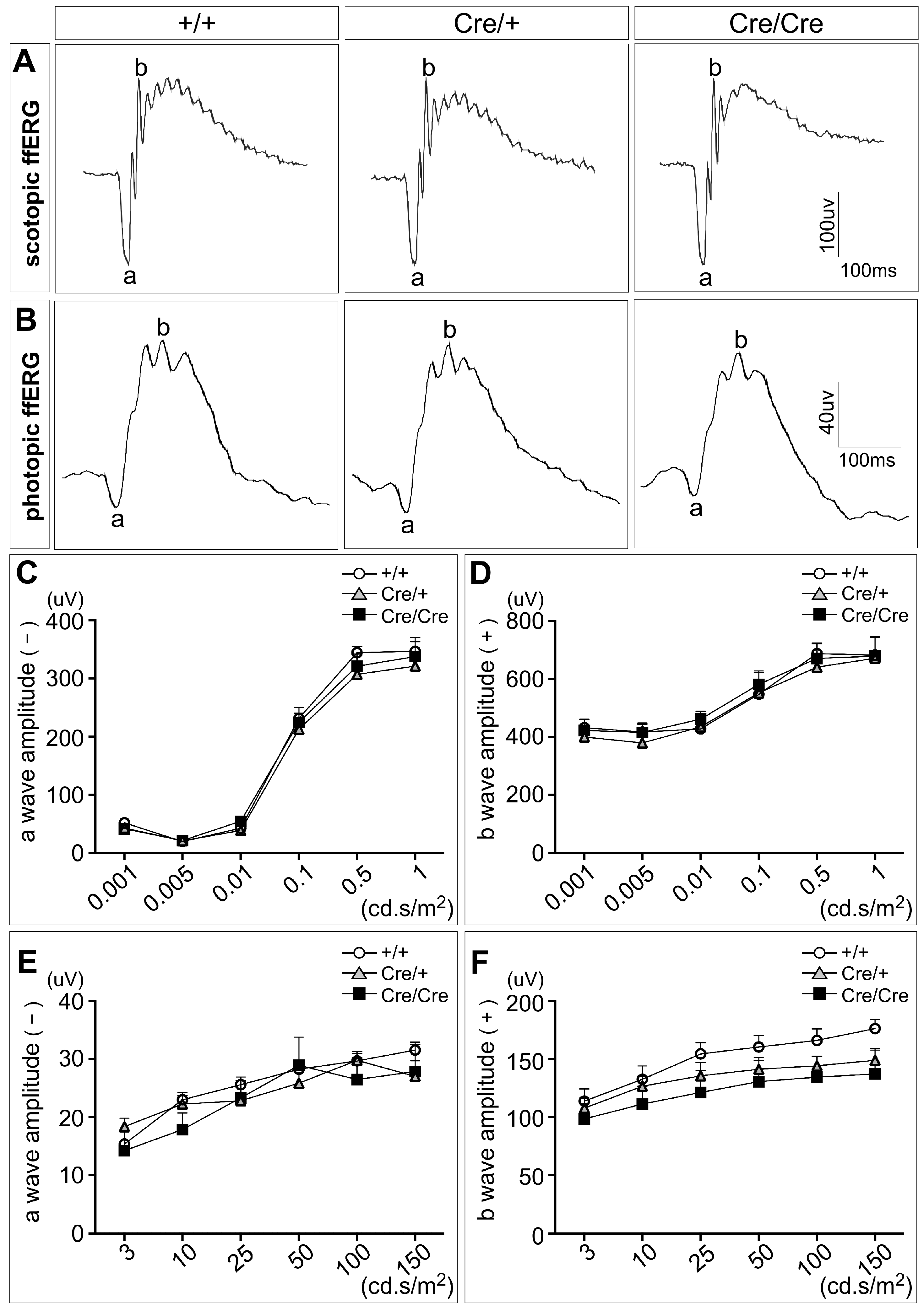 Inducible Rbpms-CreERT2 Mouse Line for Studying Gene Function in ...