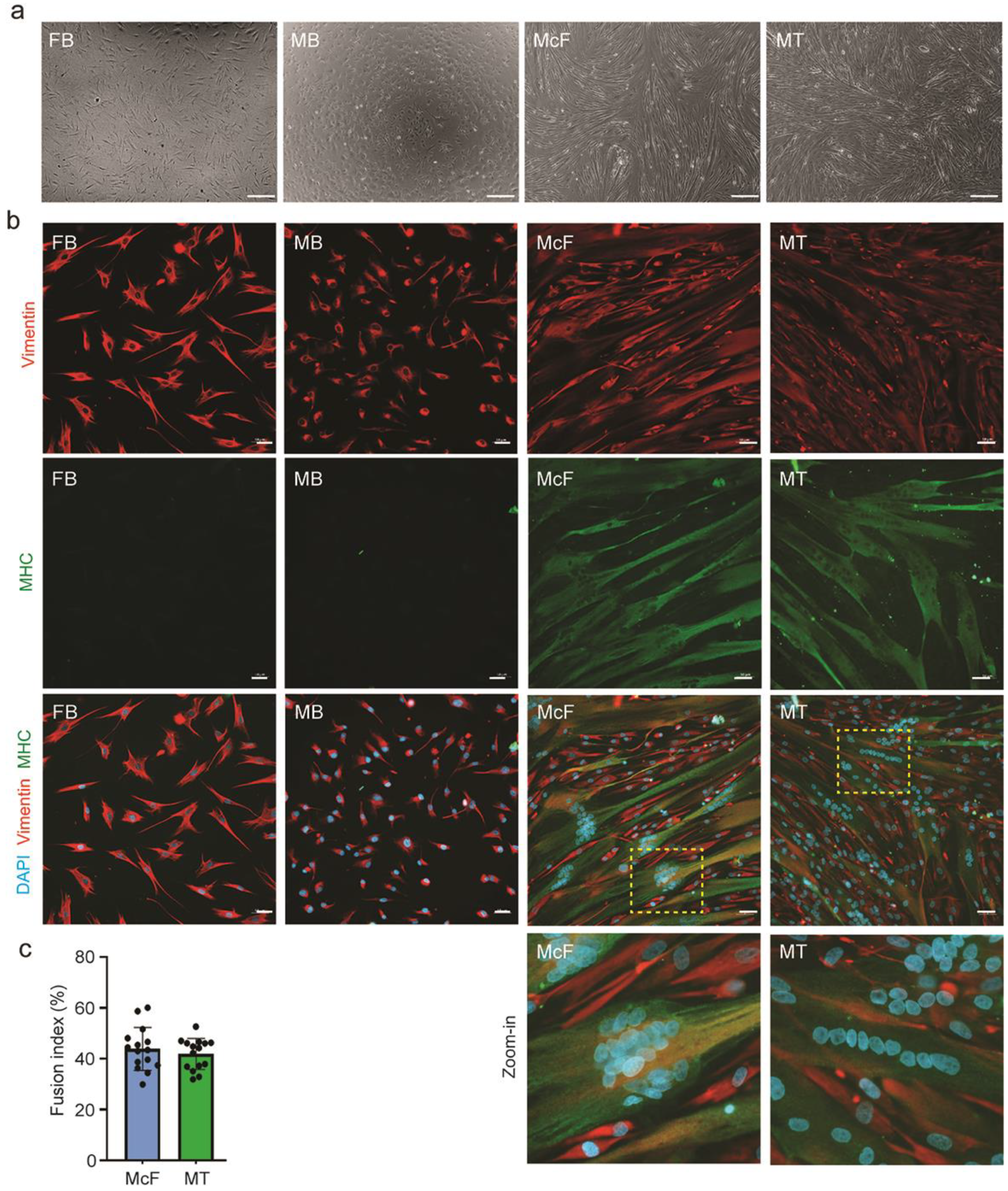 Cells 12 01995 g002