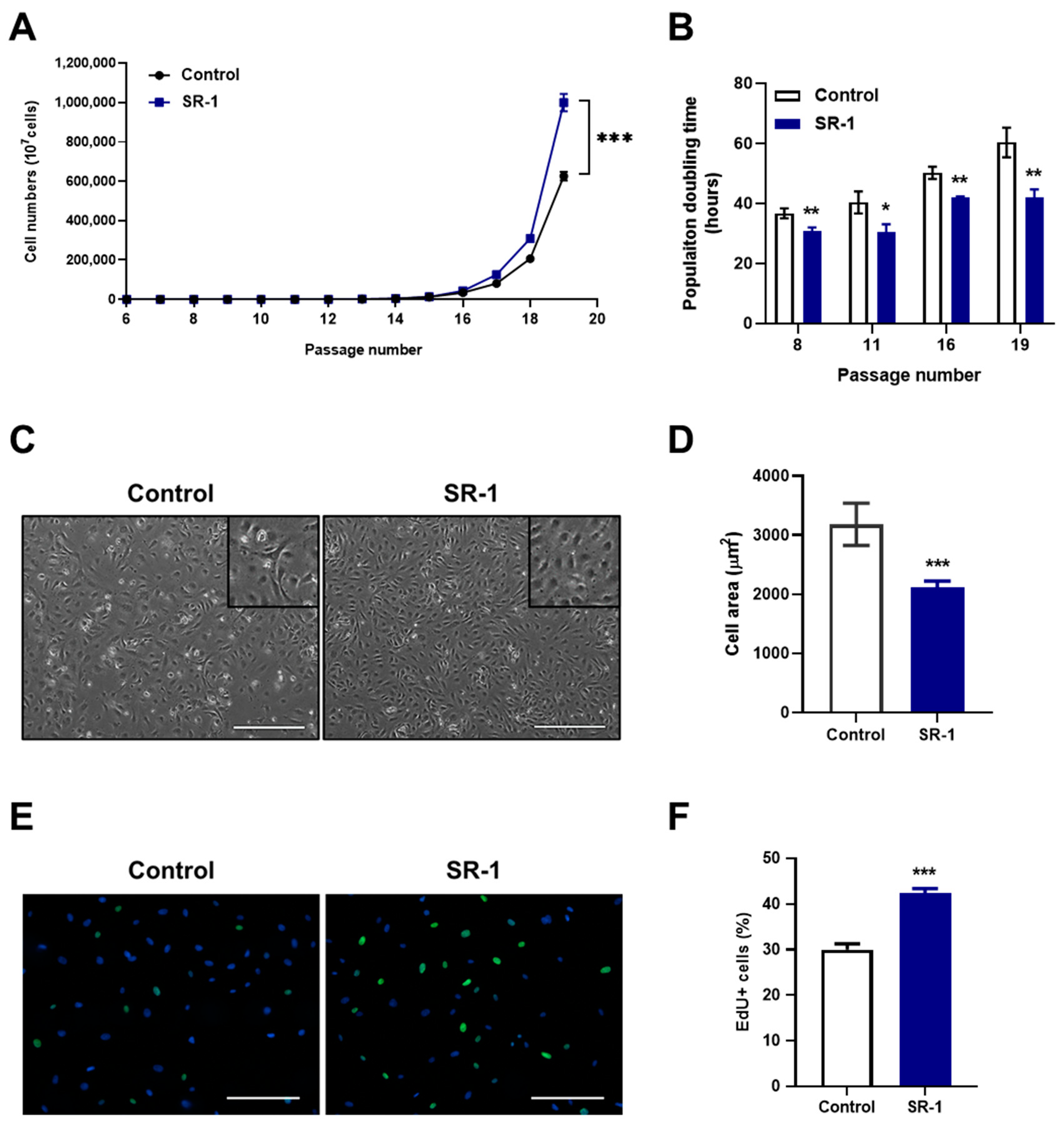 Cells 12 02005 g002 Cells 12 02005 g002
