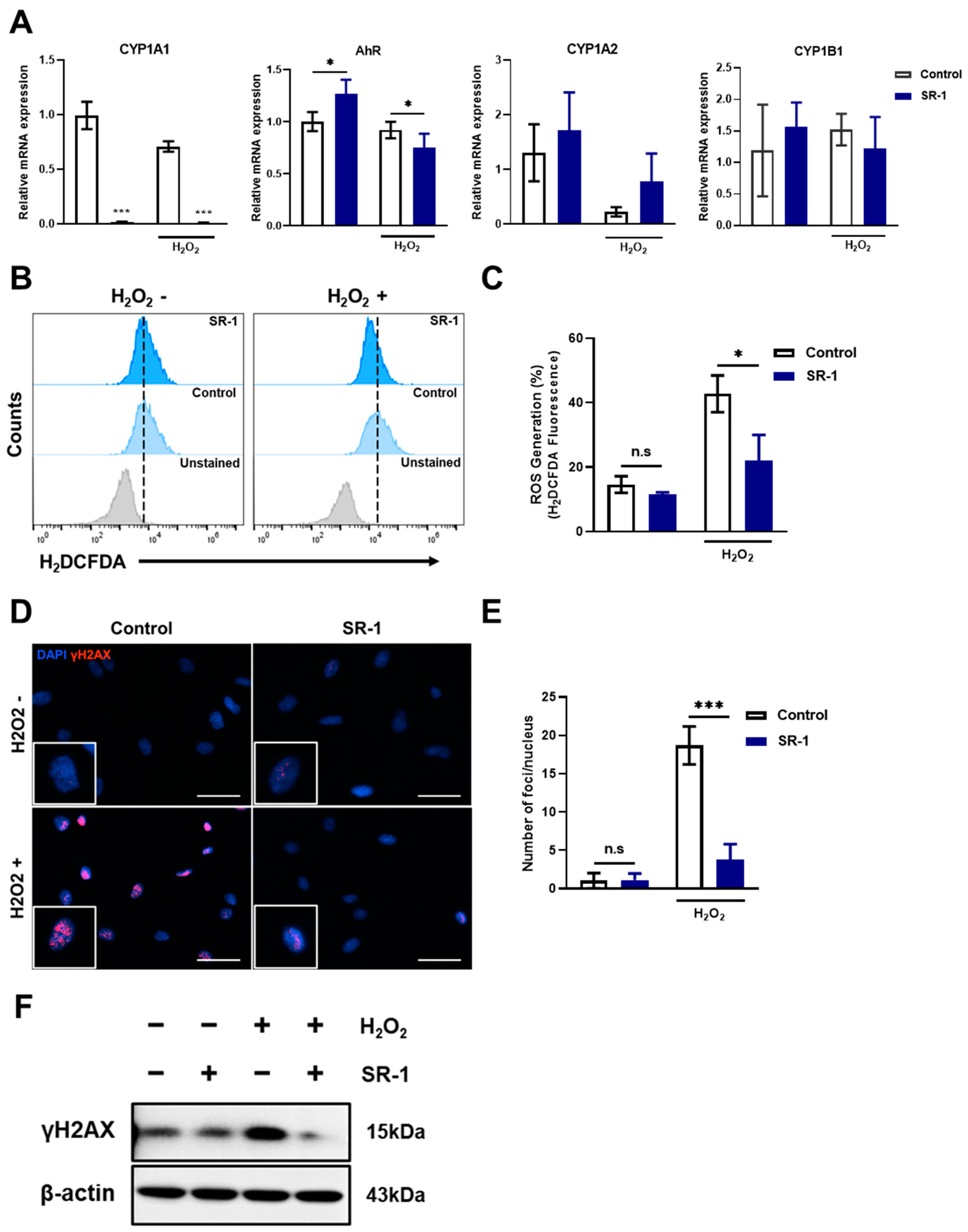 Cells 12 02005 g005 Cells 12 02005 g005