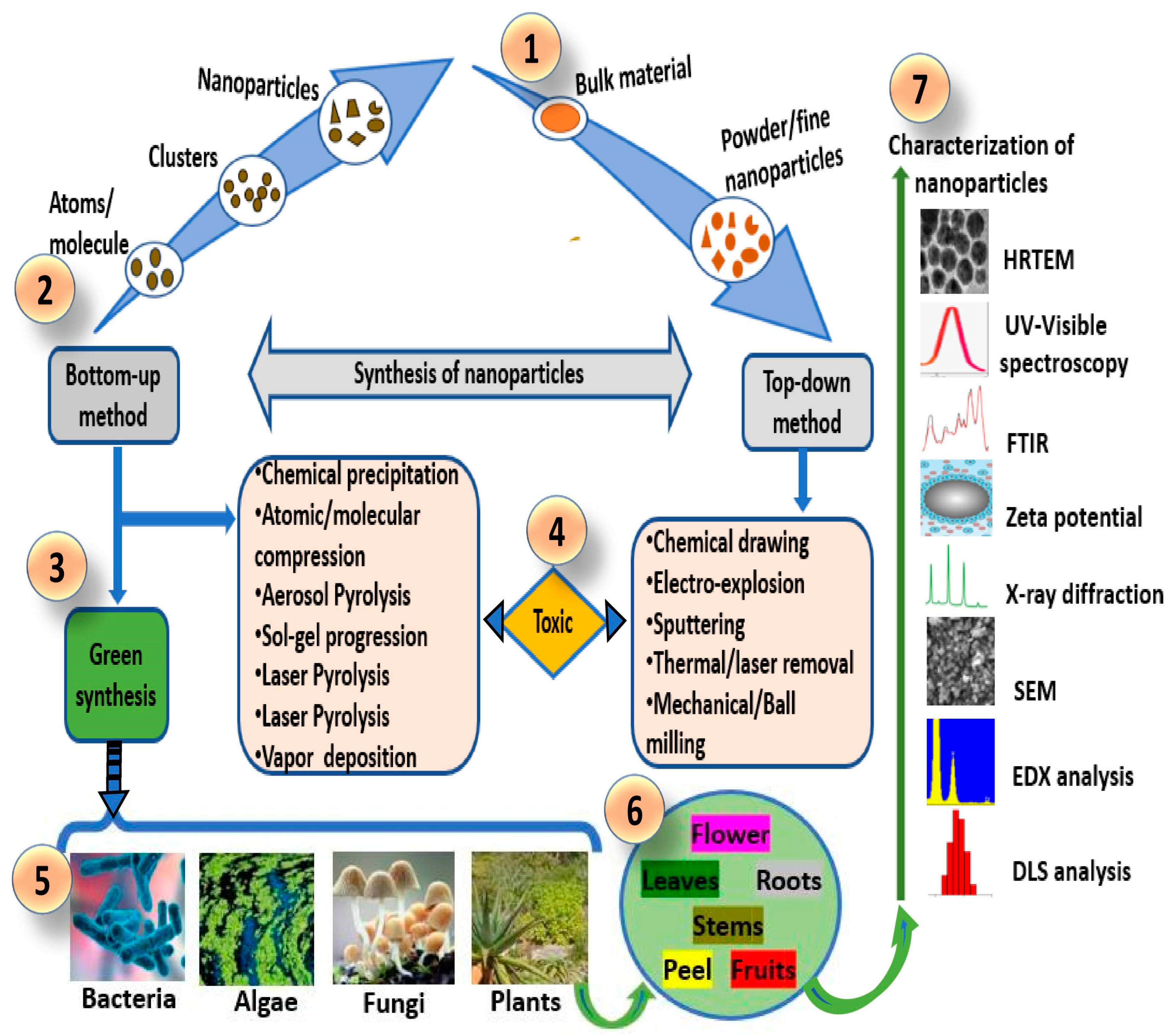 Cells 12 02012 g001 Cells 12 02012 g001