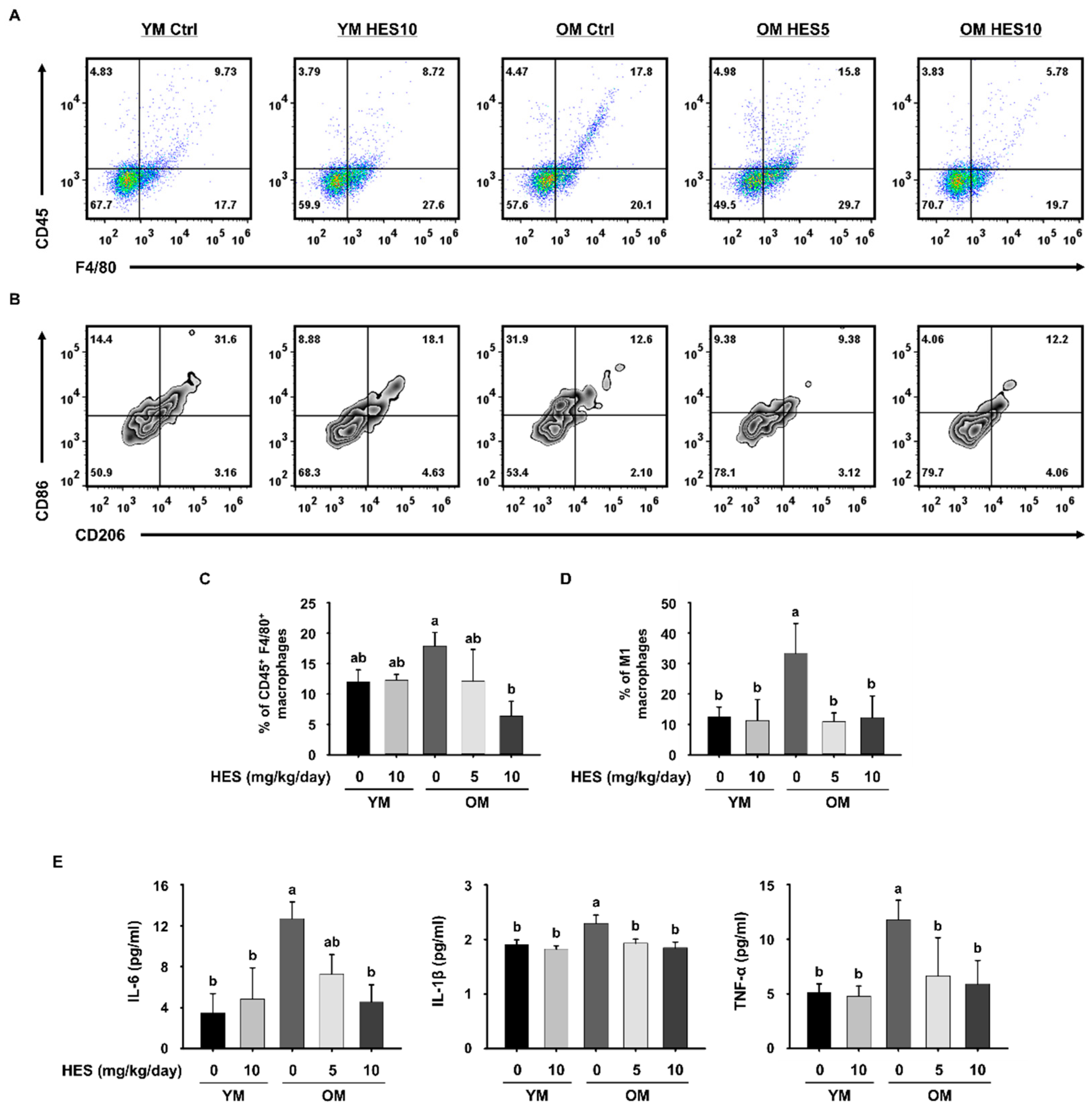 Cells 12 02015 g003 Cells 12 02015 g003