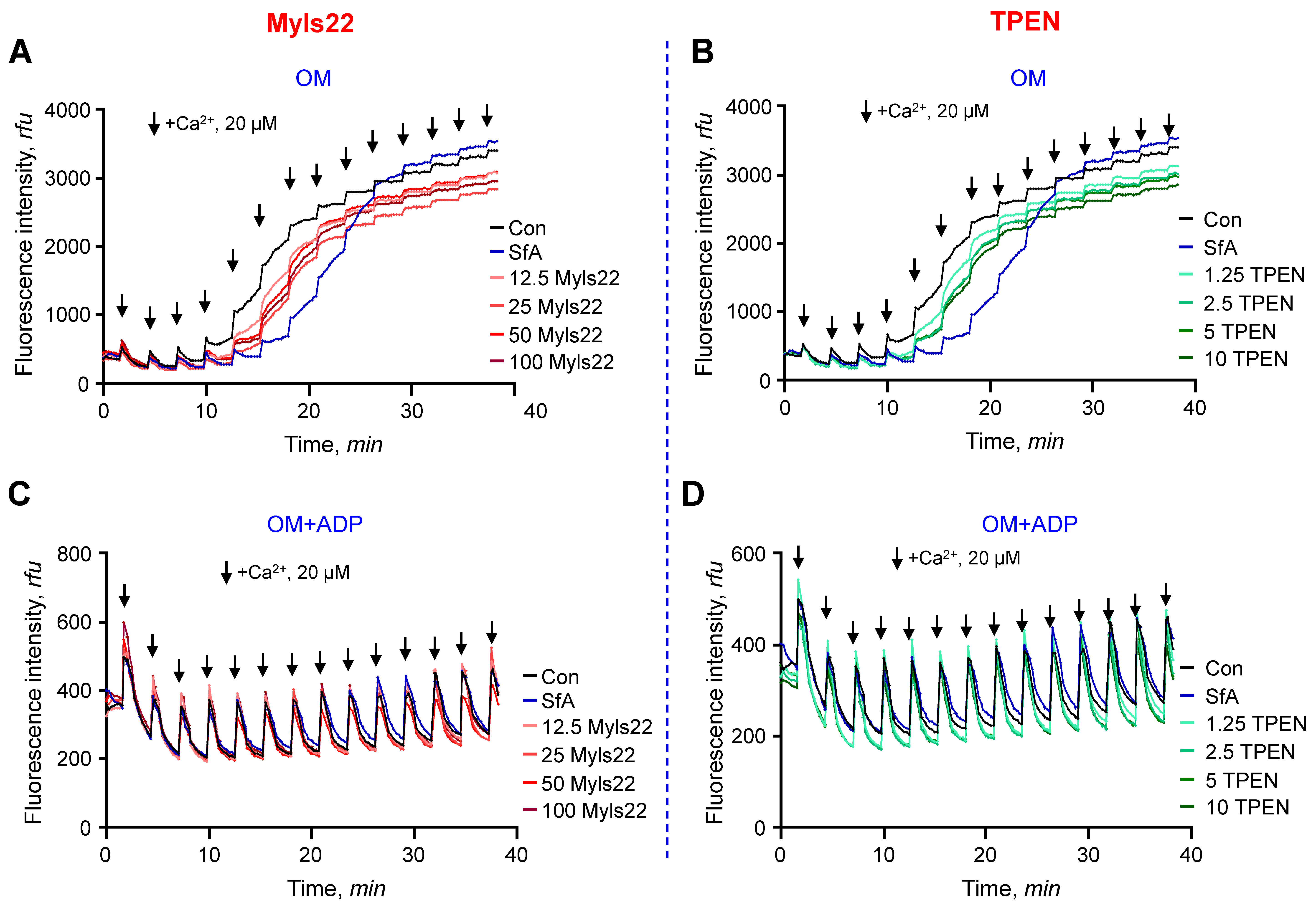 Cells 12 02017 g001 Cells 12 02017 g001