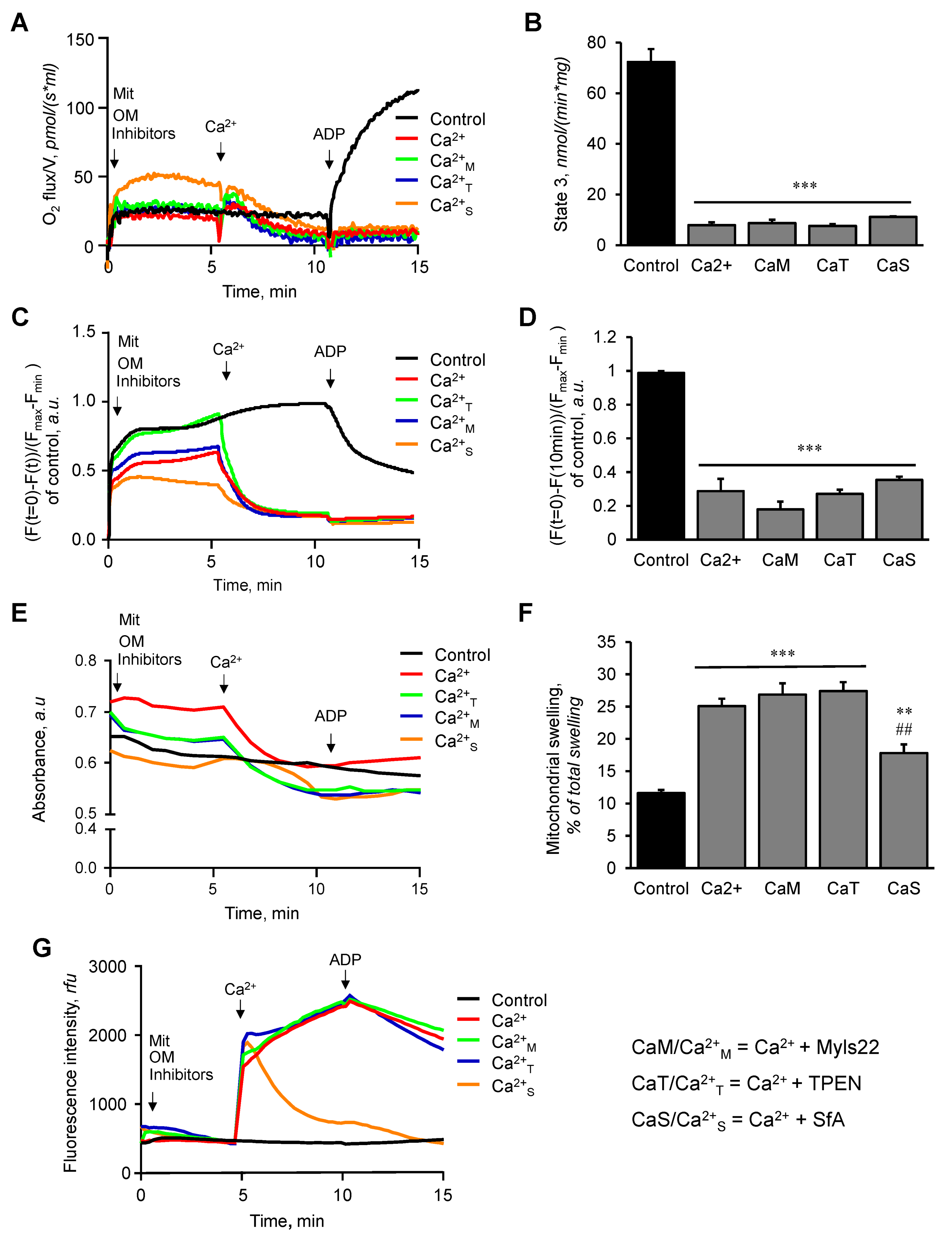 Cells 12 02017 g003 Cells 12 02017 g003