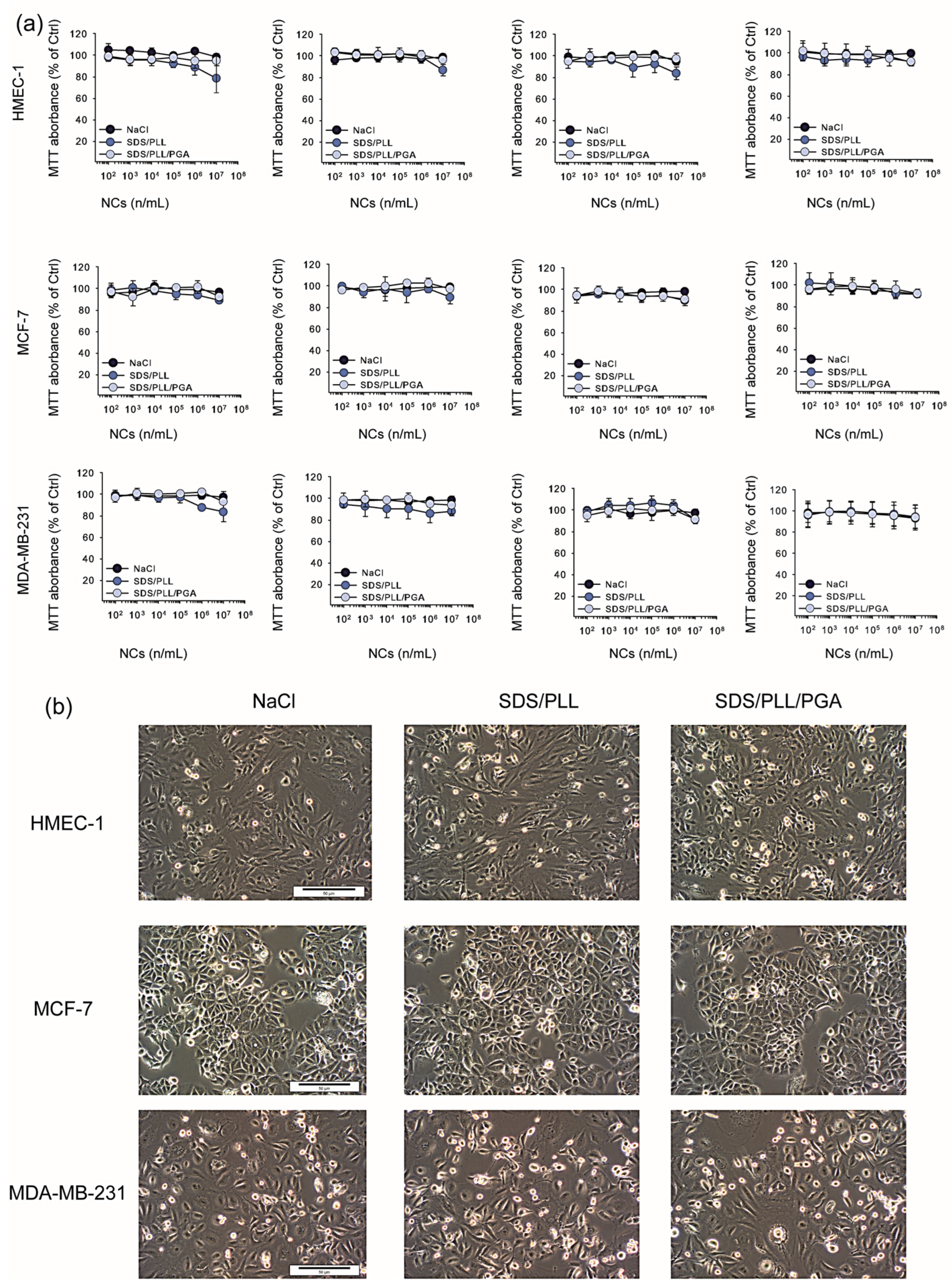 Cells 12 02052 g002 Cells 12 02052 g002