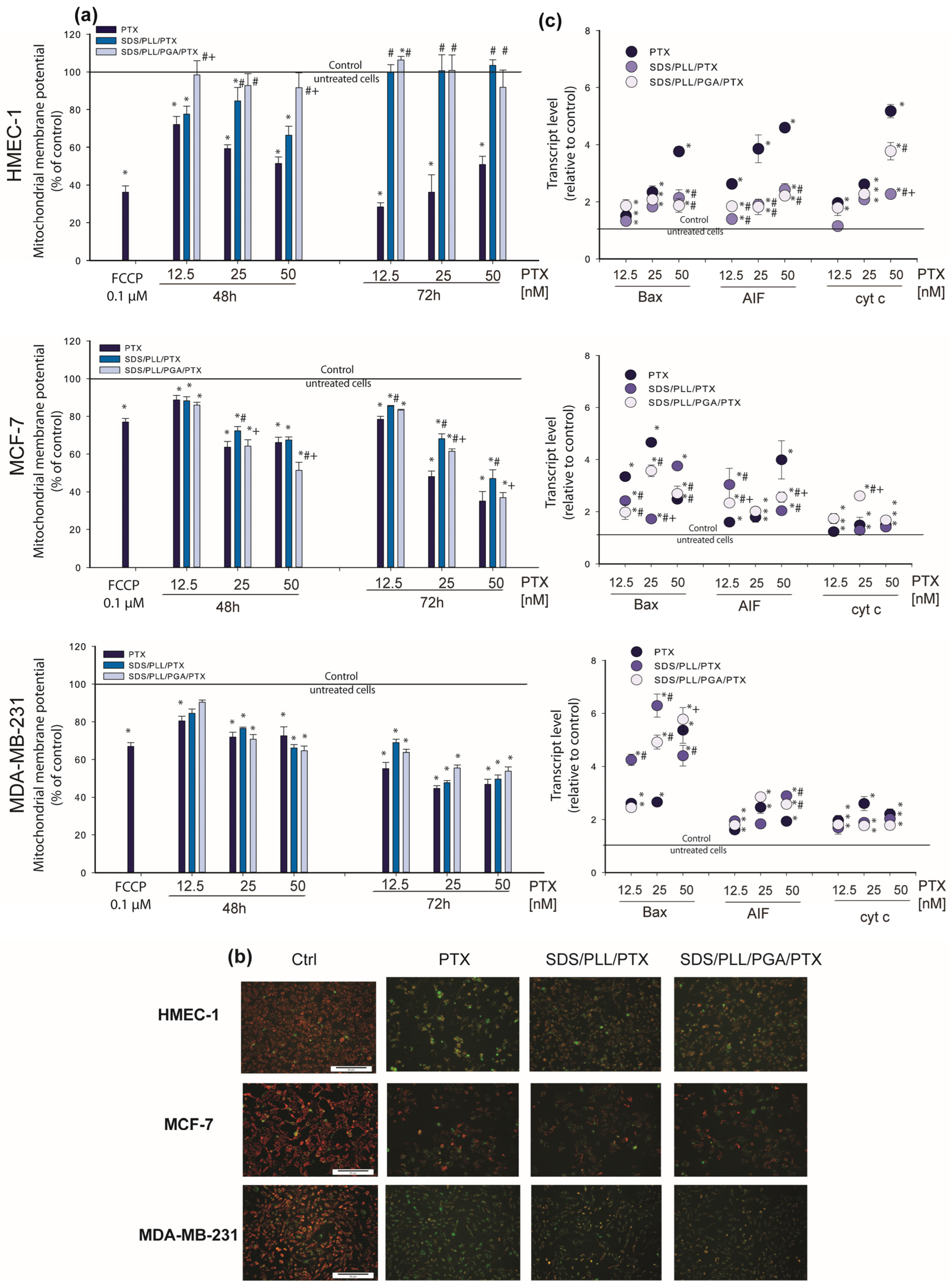 Cells 12 02052 g008 Cells 12 02052 g008
