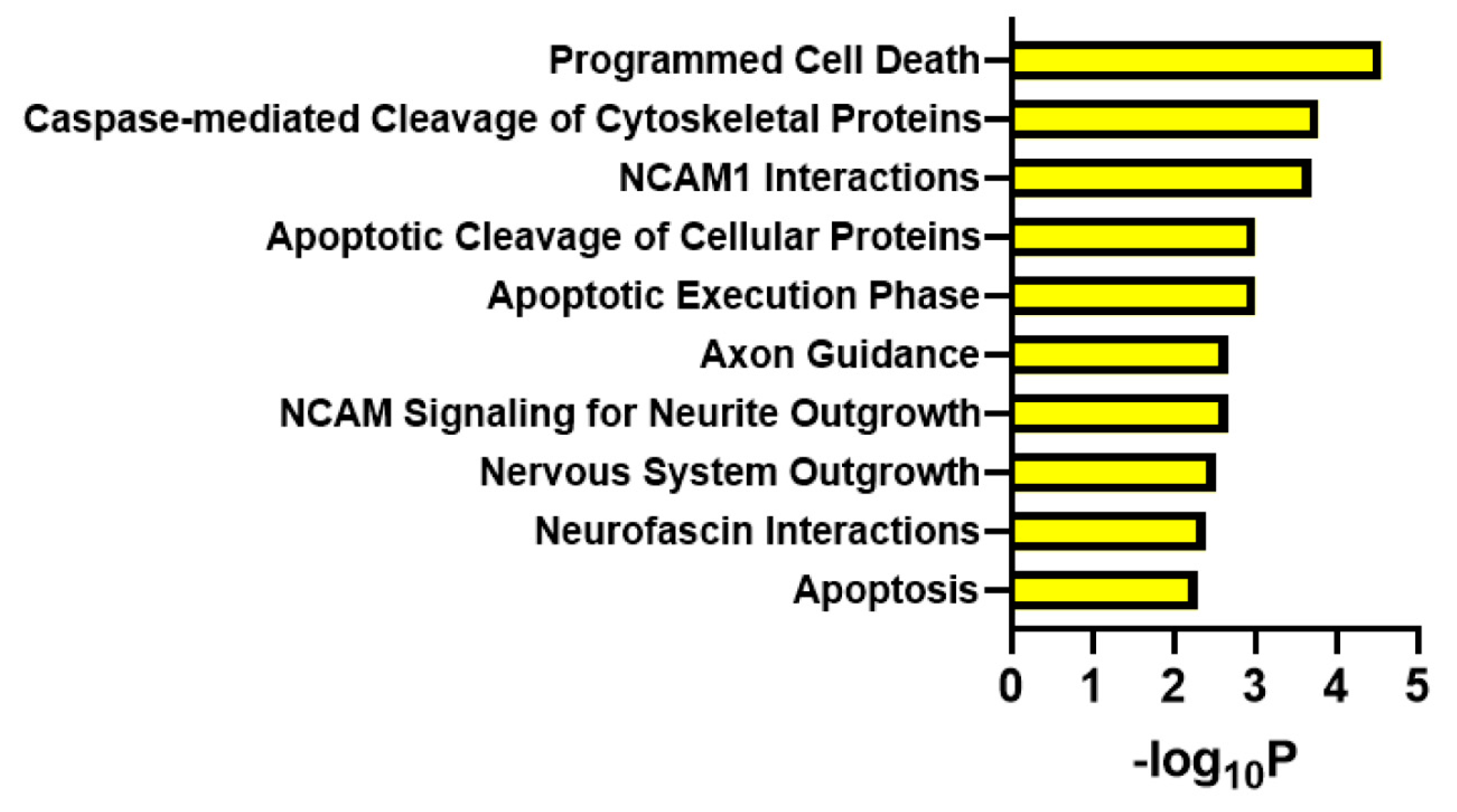 Cells 12 02053 g002 Cells 12 02053 g002