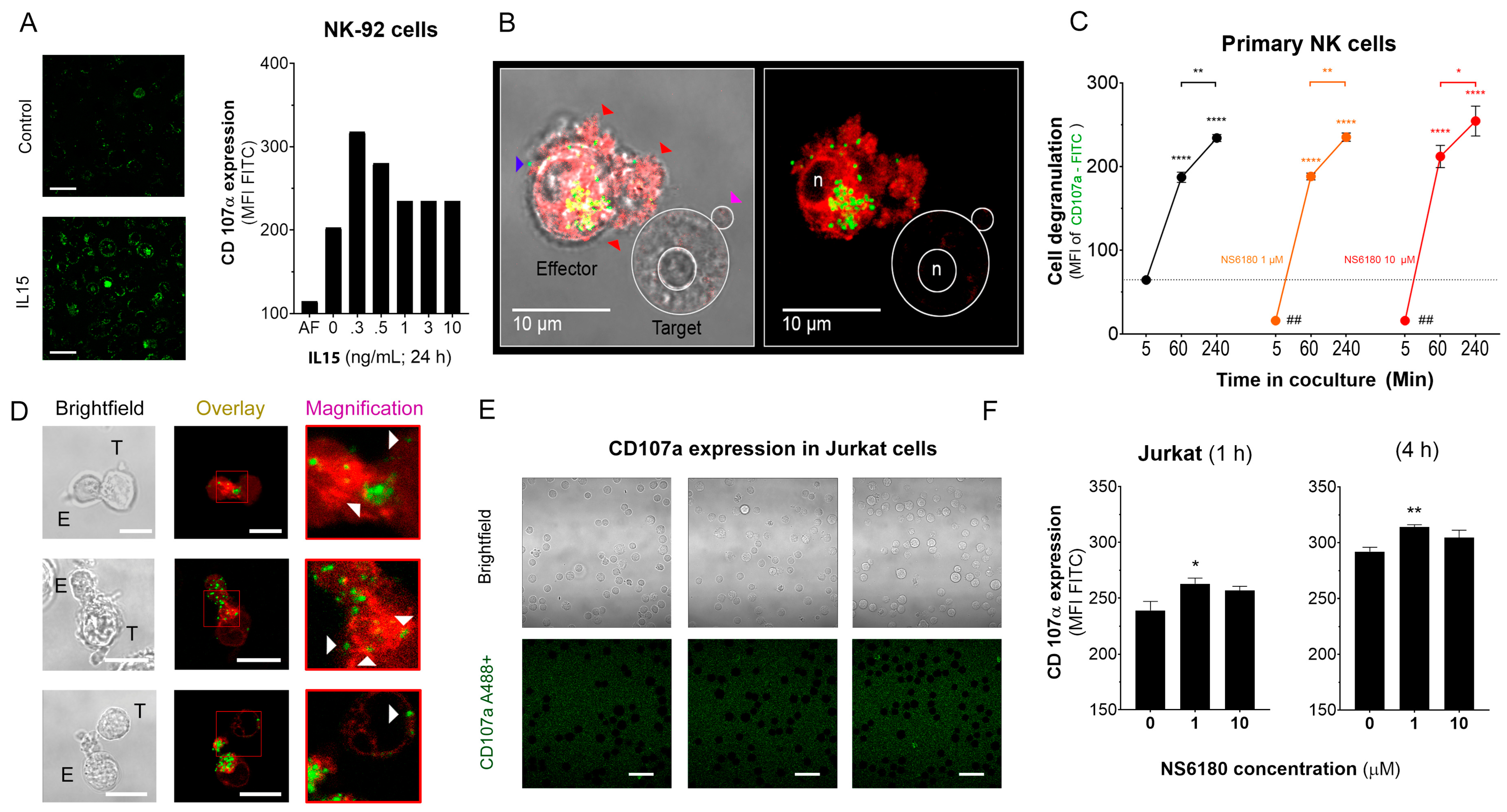 Cells 12 02065 g005 Cells 12 02065 g005
