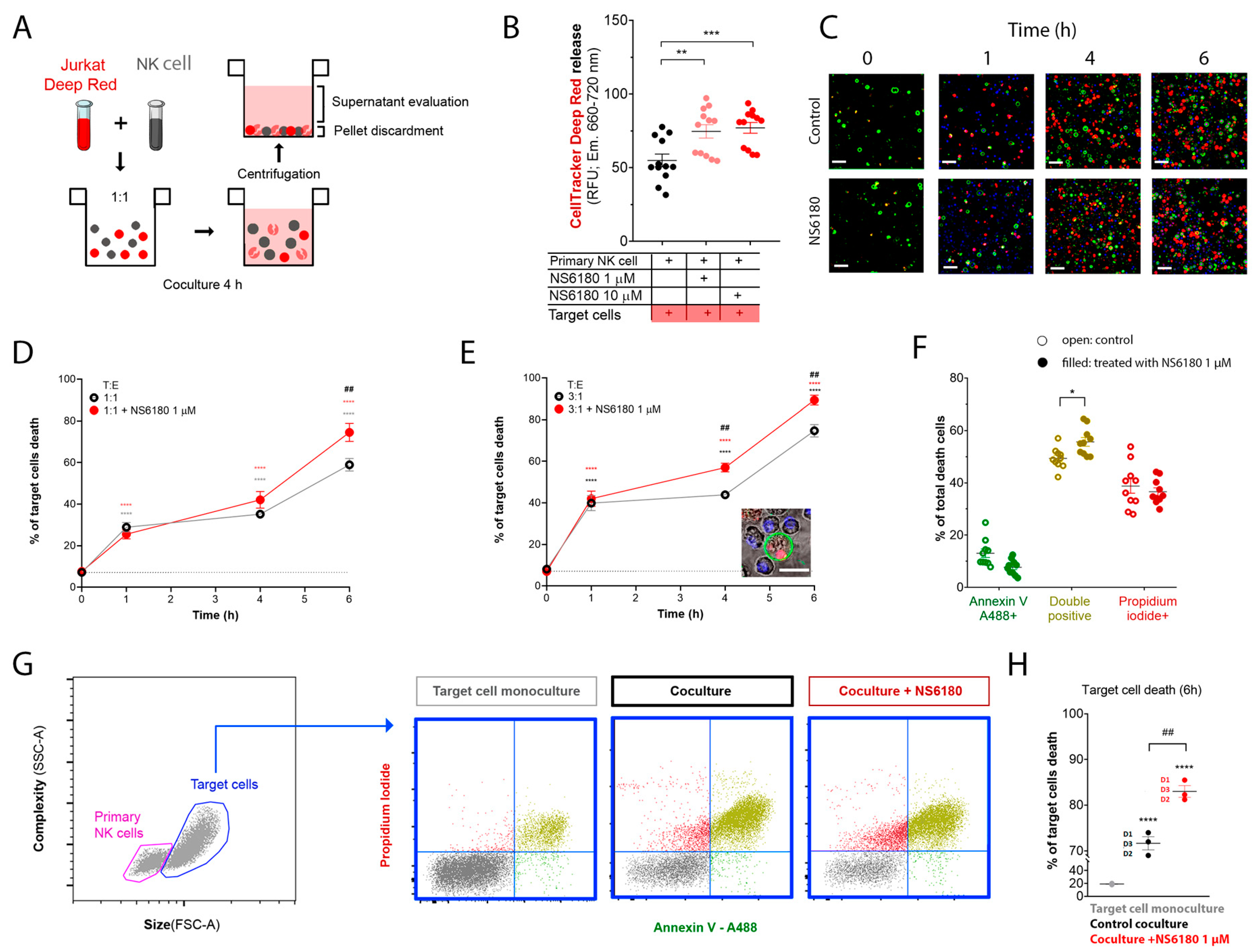 Cells 12 02065 g006 Cells 12 02065 g006