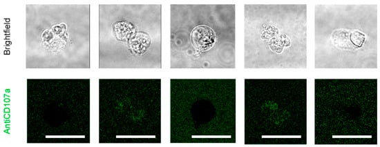 Cells 12 02065 g0a4