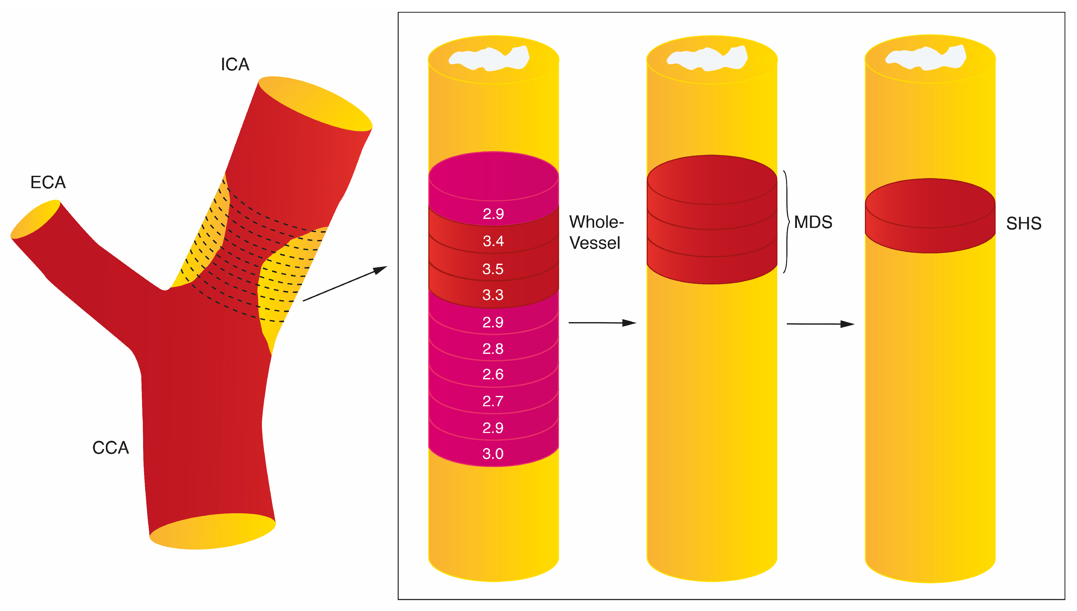 Cells 12 02073 g002 Cells 12 02073 g002