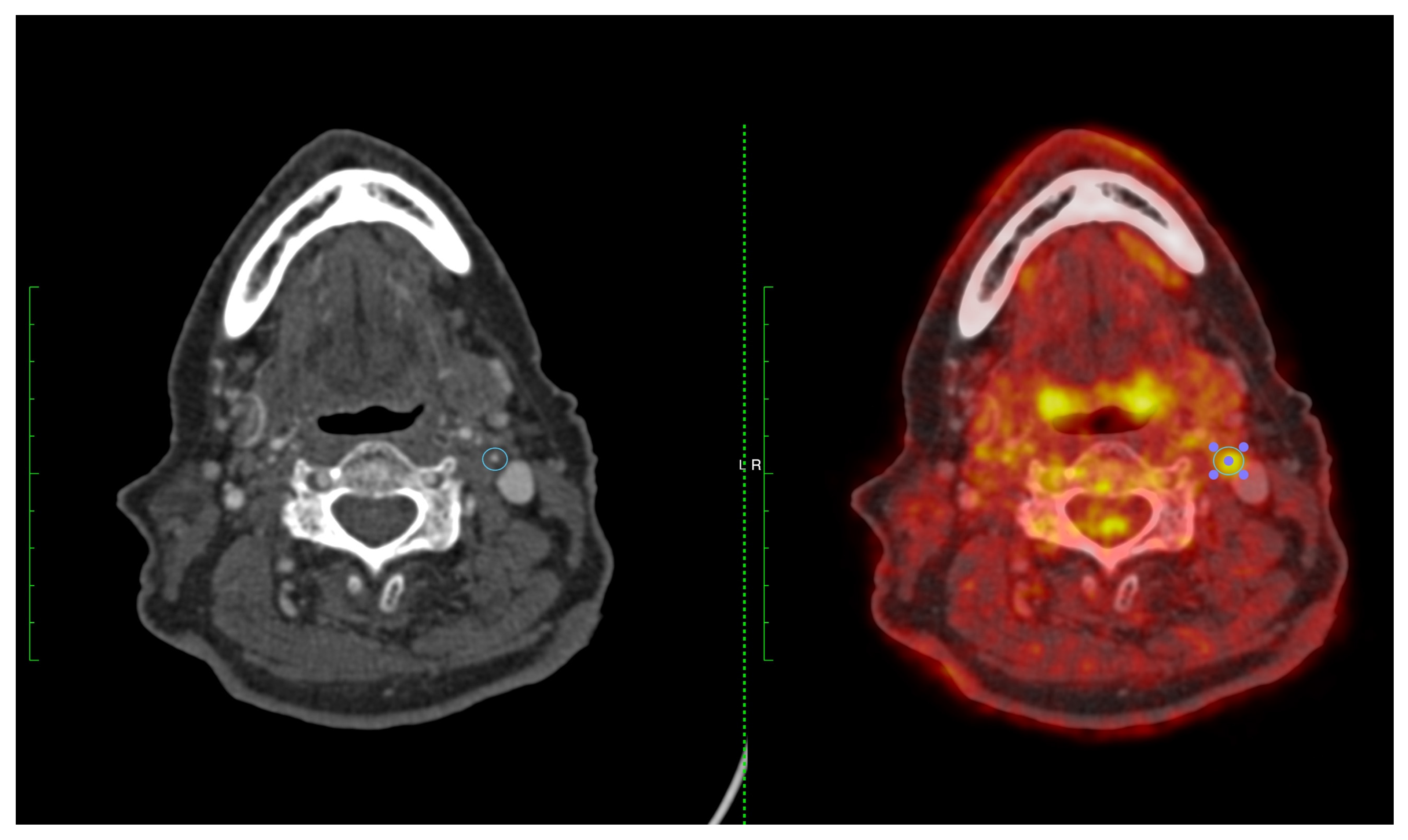 Cells 12 02073 g004 Cells 12 02073 g004
