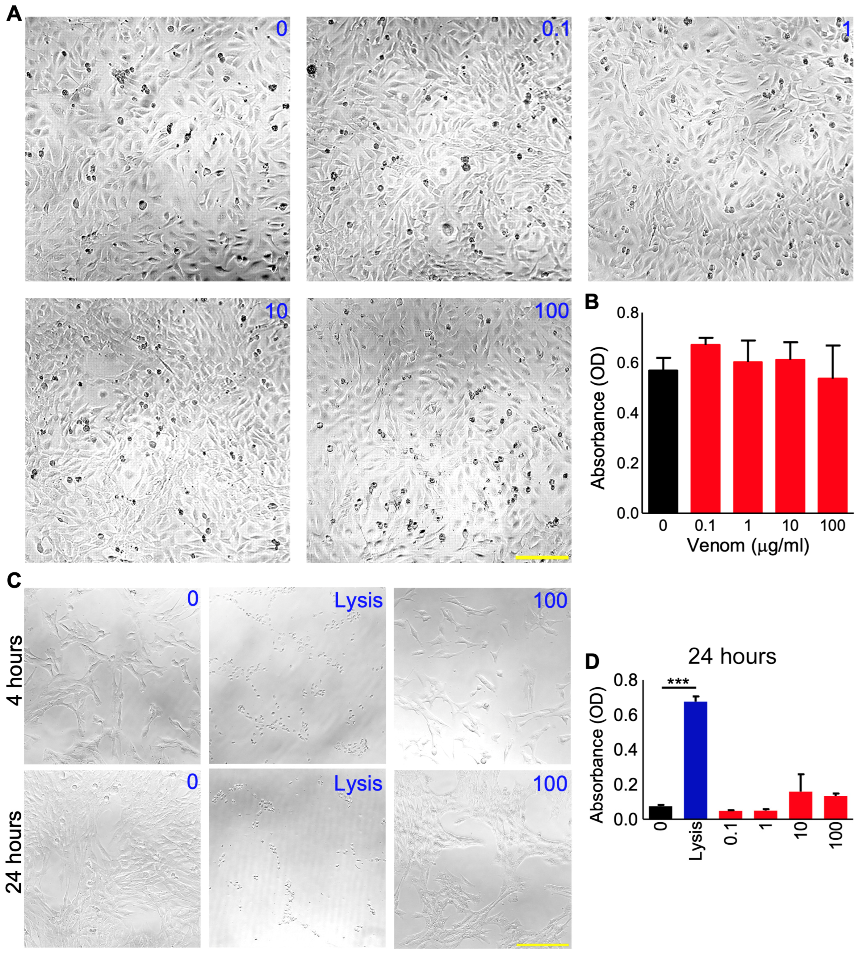 Cells 12 02074 g001 Cells 12 02074 g001