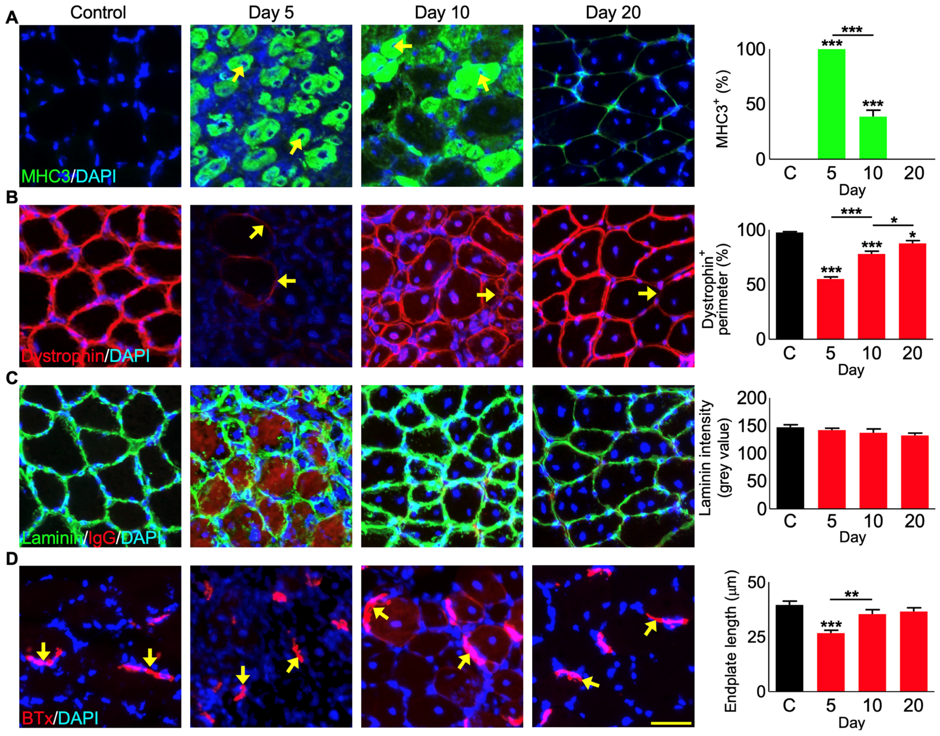 Cells 12 02074 g005 Cells 12 02074 g005