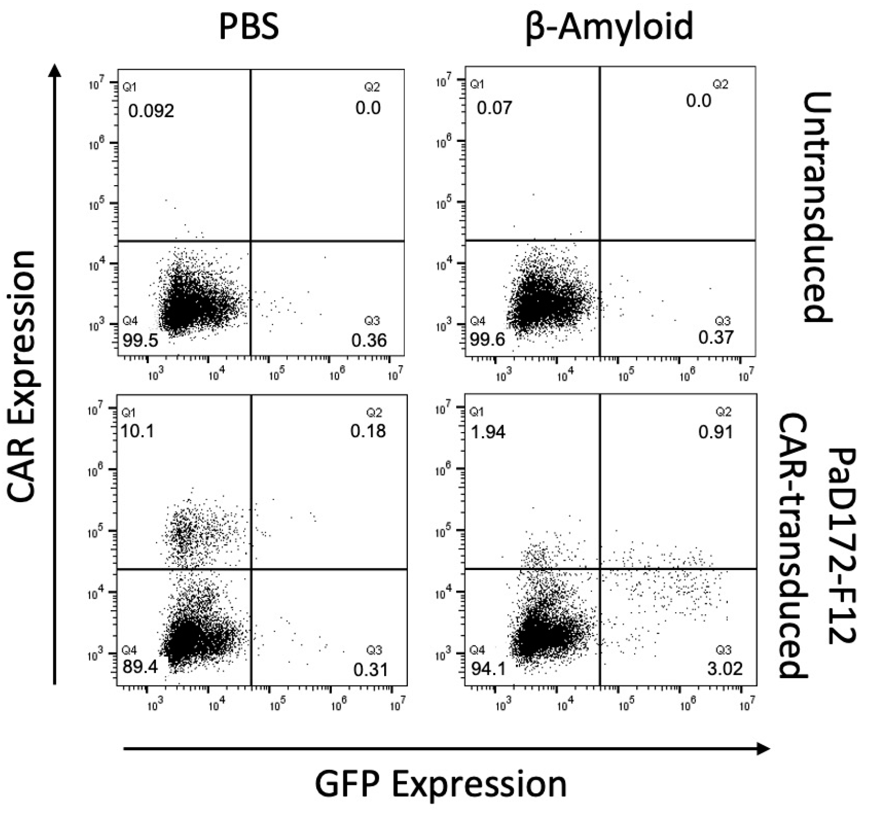 Cells 12 02115 g002 Cells 12 02115 g002