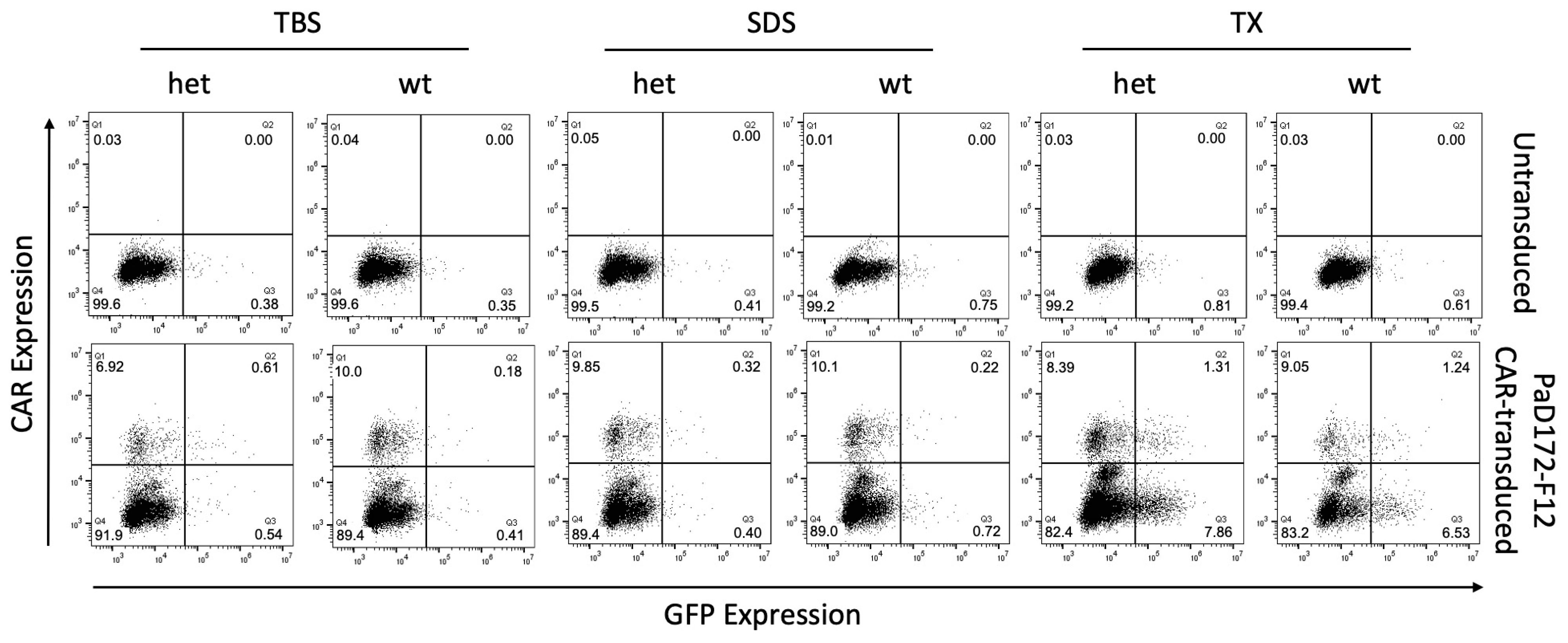 Cells 12 02115 g003 Cells 12 02115 g003