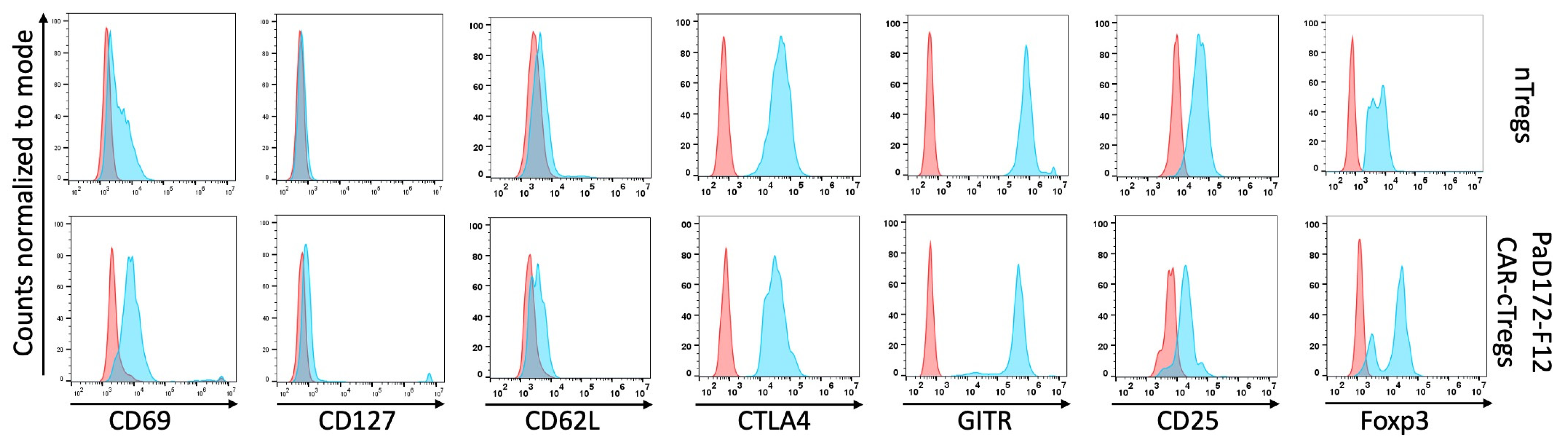 Cells 12 02115 g004 Cells 12 02115 g004