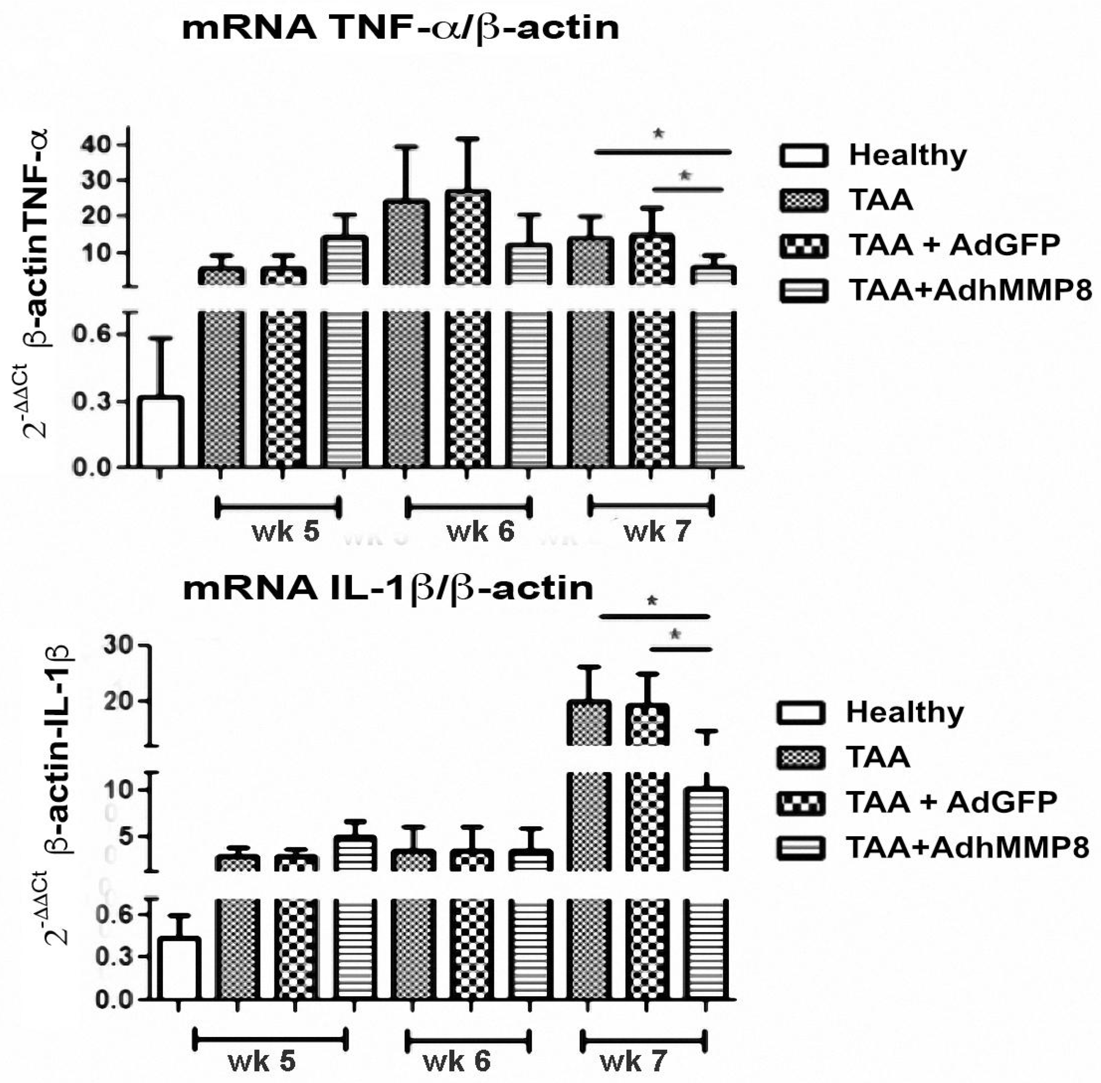 Cells 12 02127 g007 Cells 12 02127 g007
