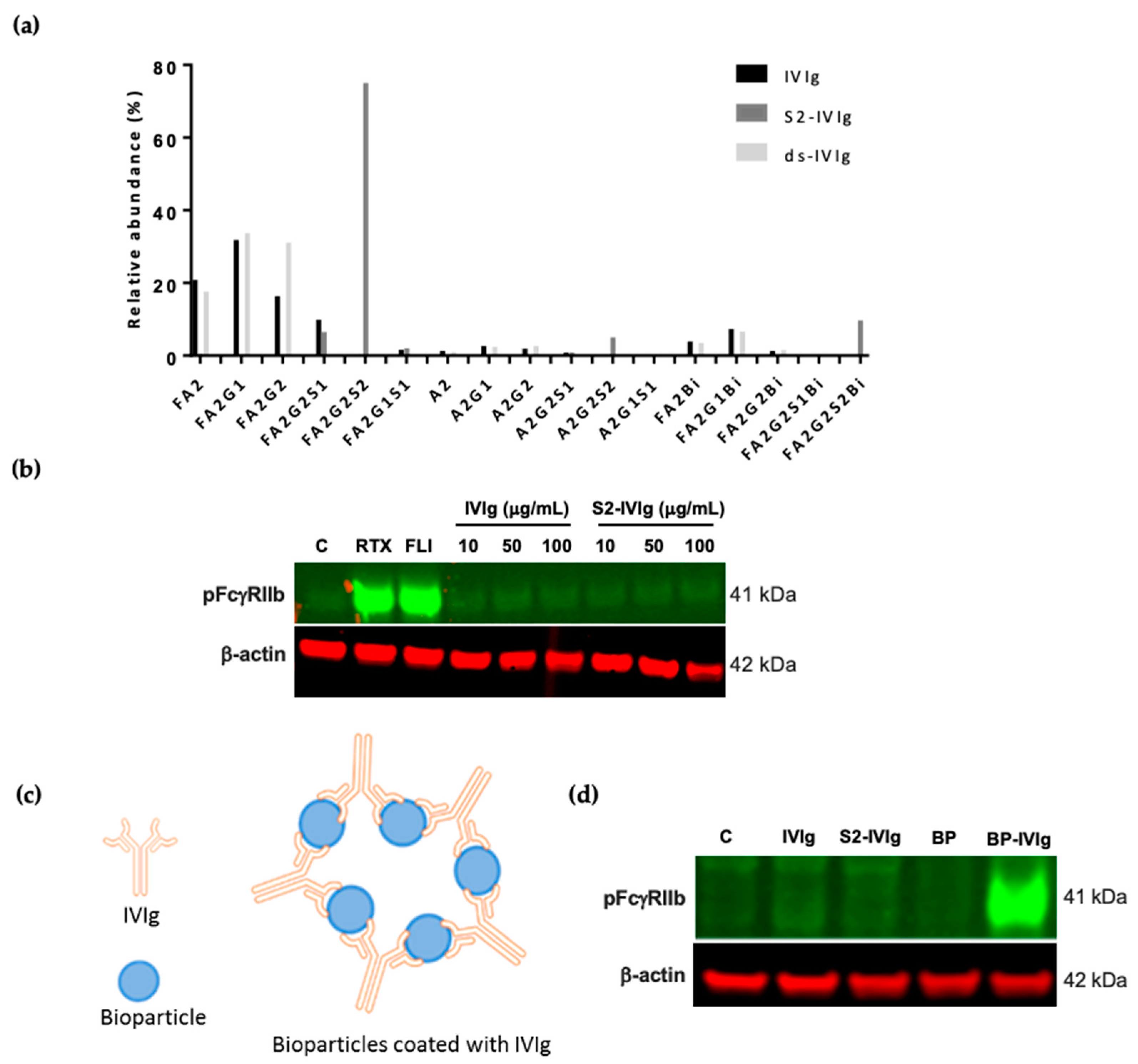 Cells 12 02130 g001 Cells 12 02130 g001