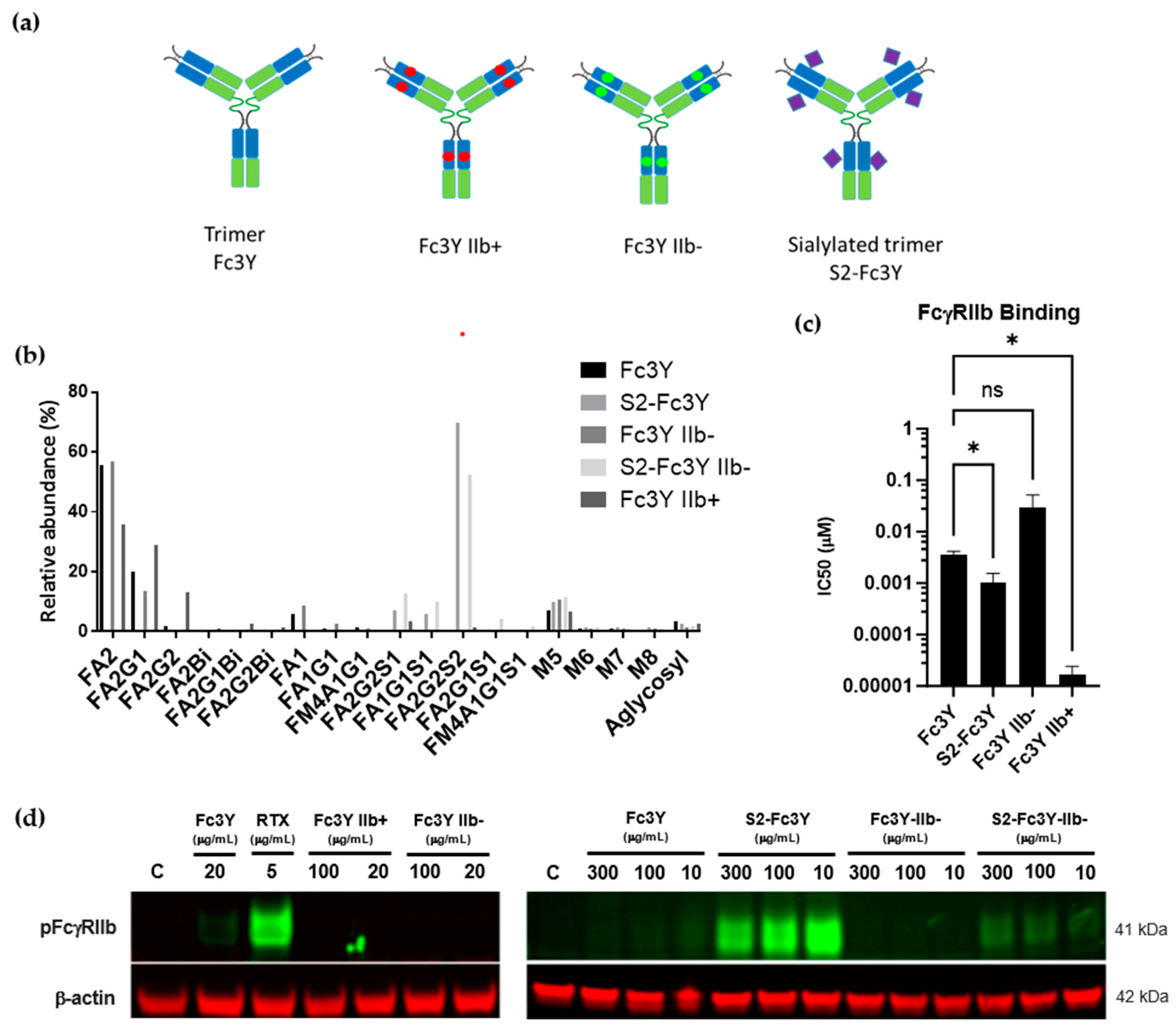 Cells 12 02130 g005 Cells 12 02130 g005