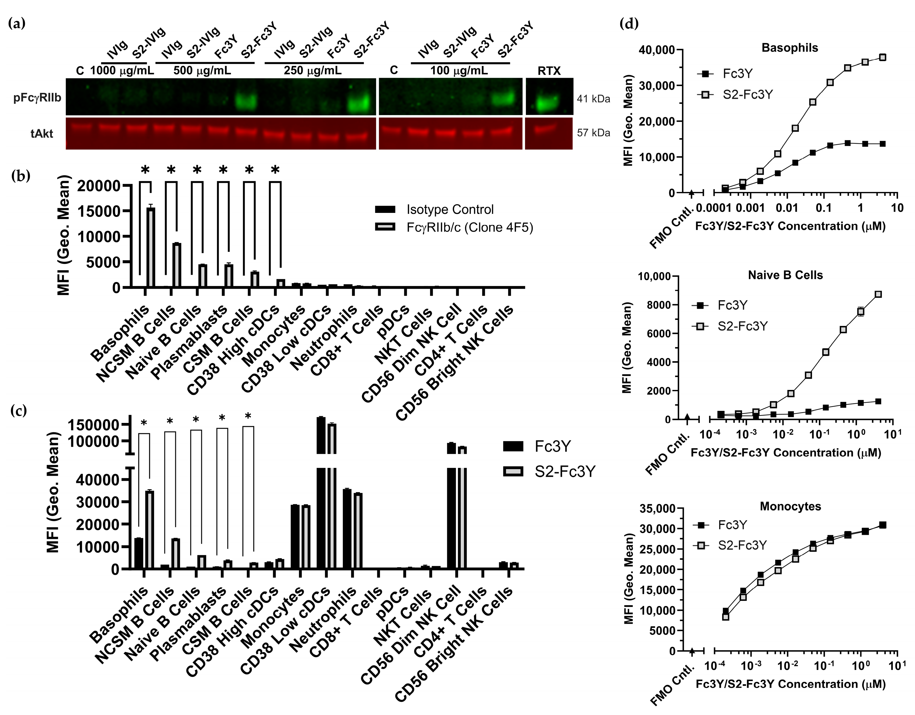 Cells 12 02130 g006 Cells 12 02130 g006