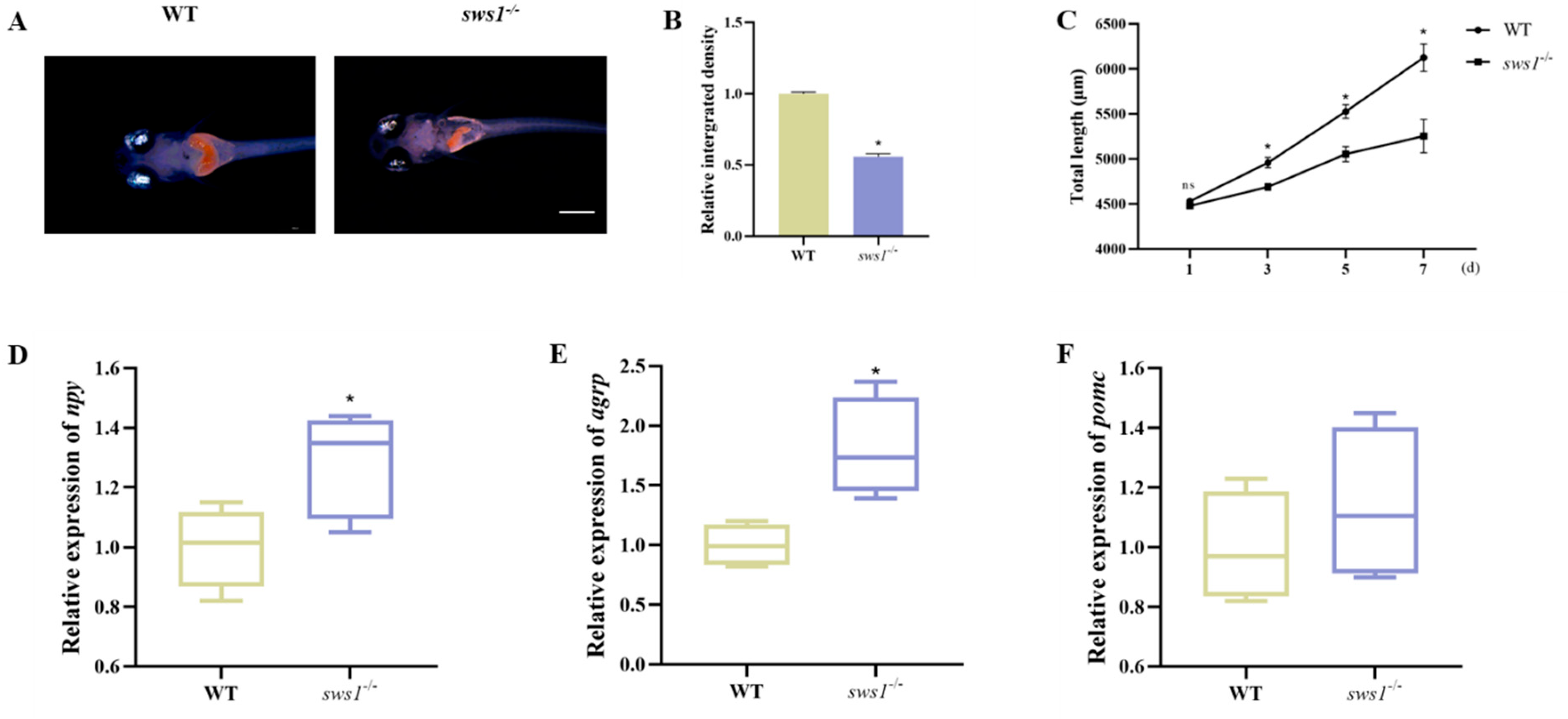 Cells 12 02157 g002 Cells 12 02157 g002
