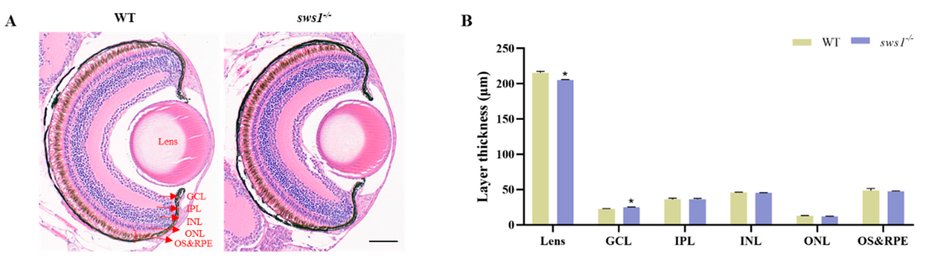 Cells 12 02157 g003 Cells 12 02157 g003