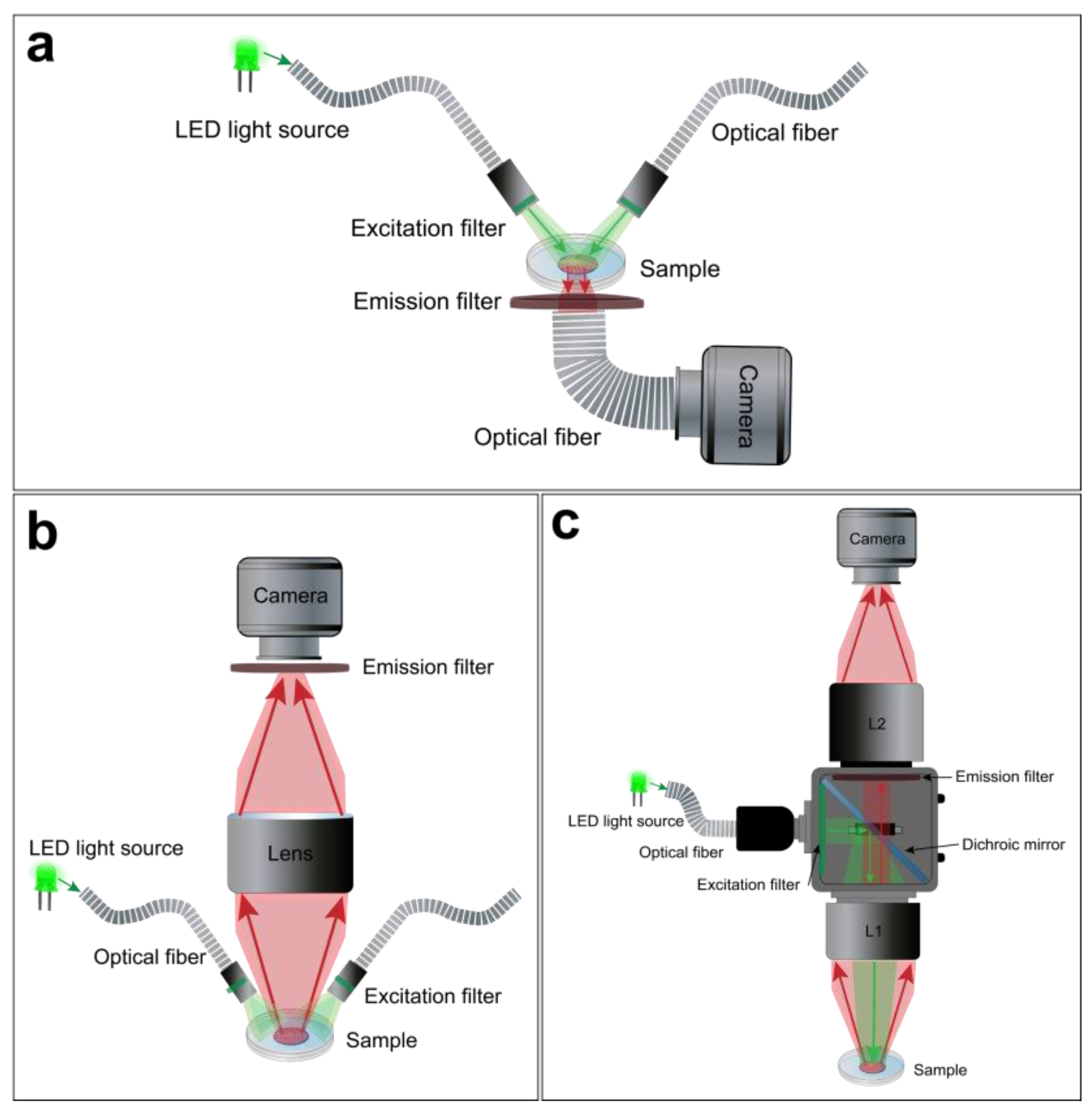 Cells 12 02168 g004 Cells 12 02168 g004