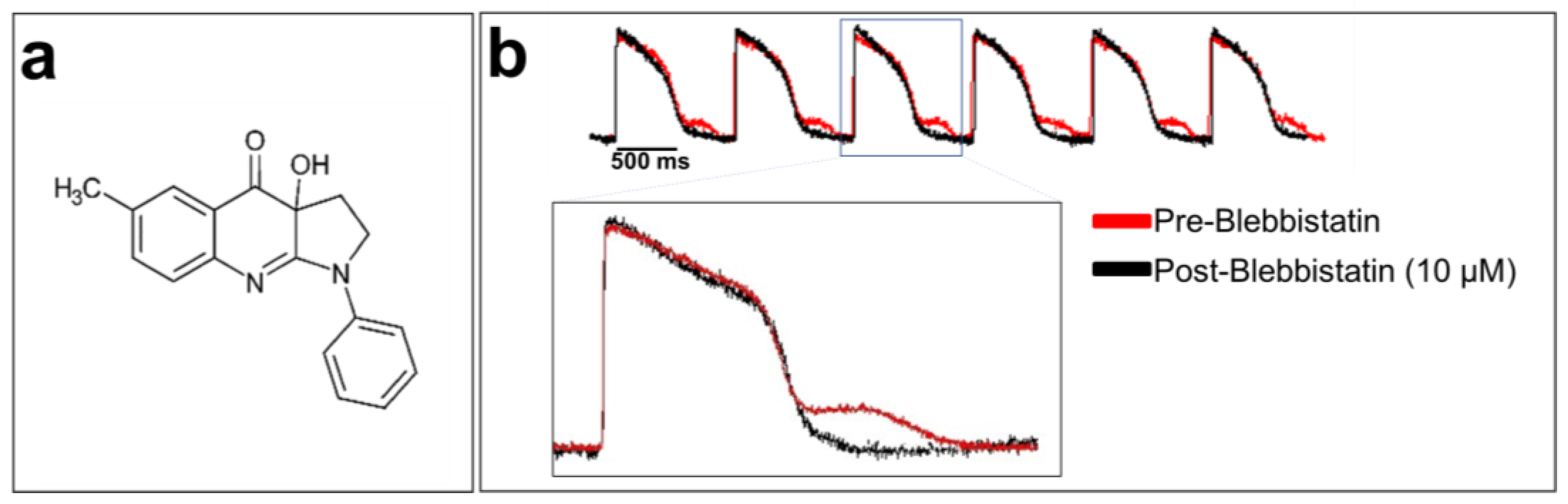 Cells 12 02168 g006 Cells 12 02168 g006